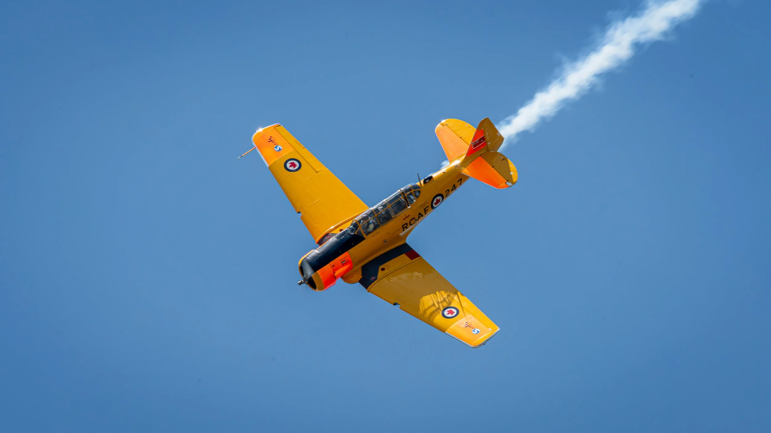 _DSC4145.jpg