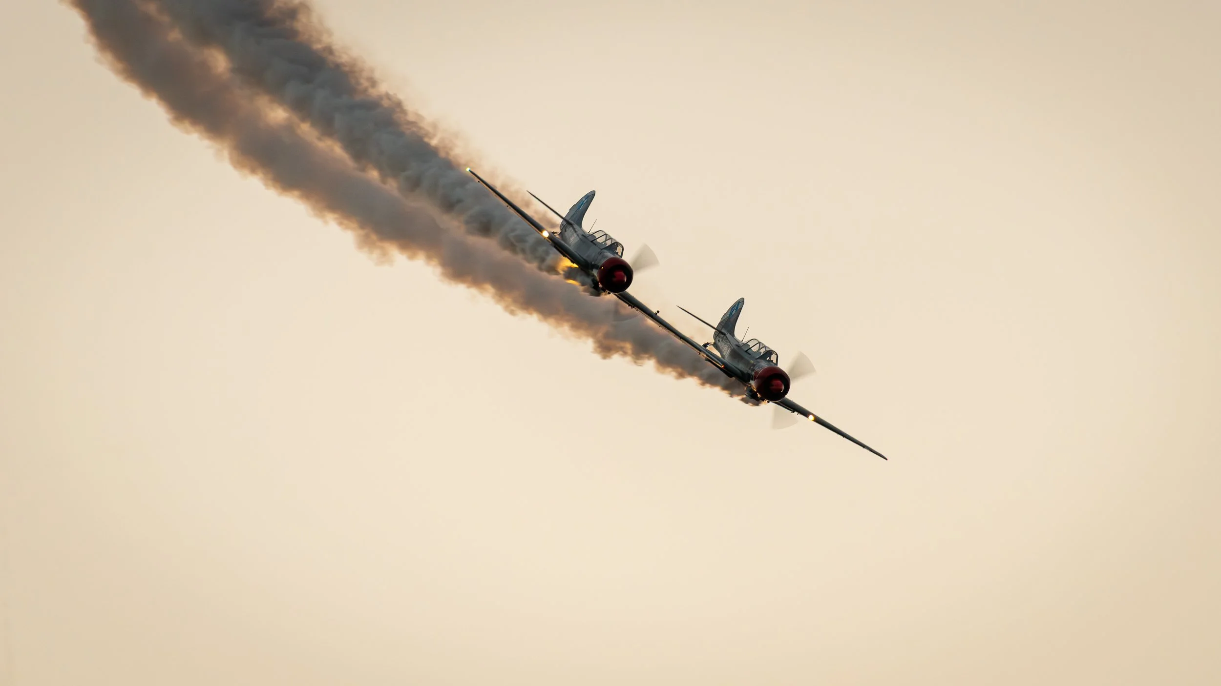 _DSC7304.jpg