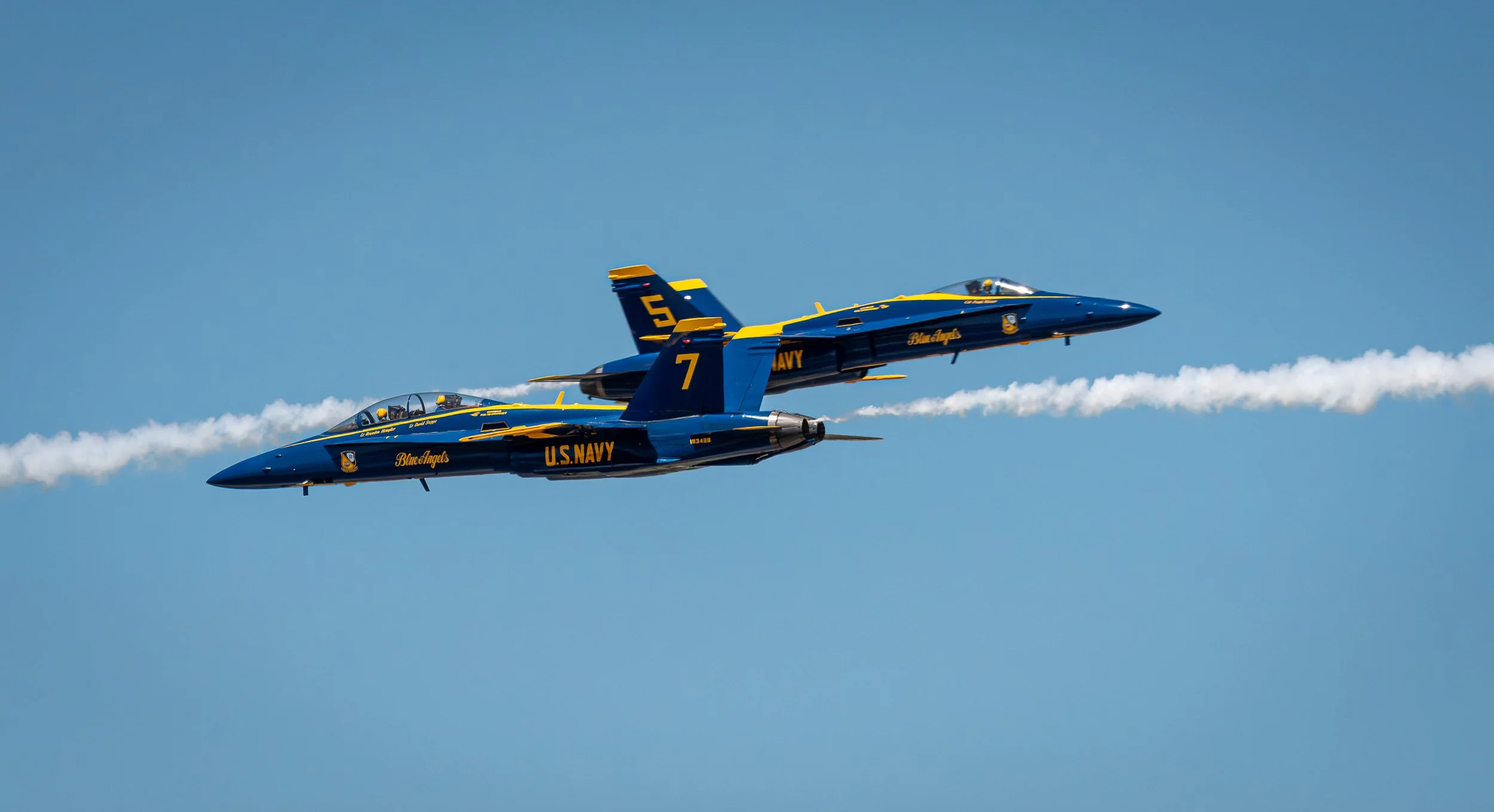 _DSC7440.jpg
