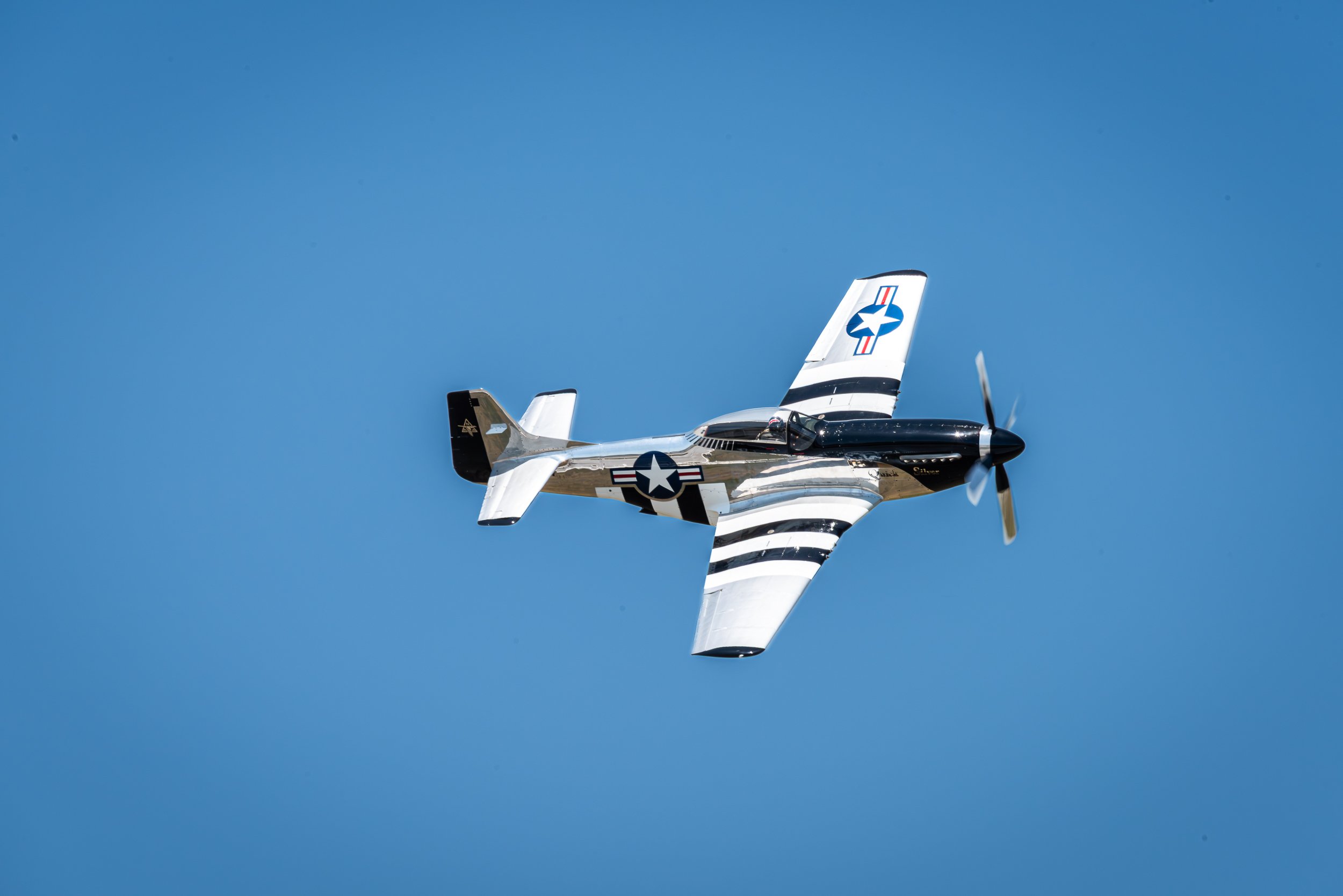 _DSC4130.jpg