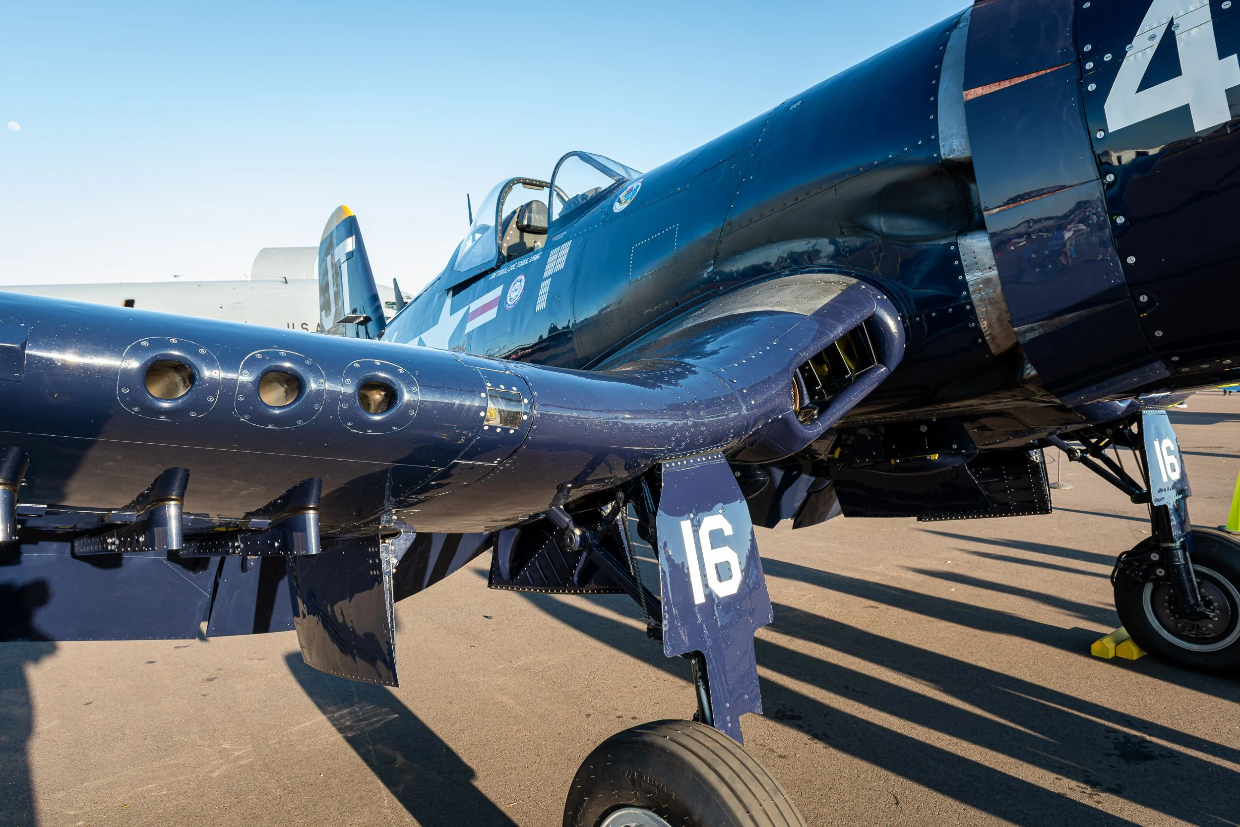 _DSC8943.jpg