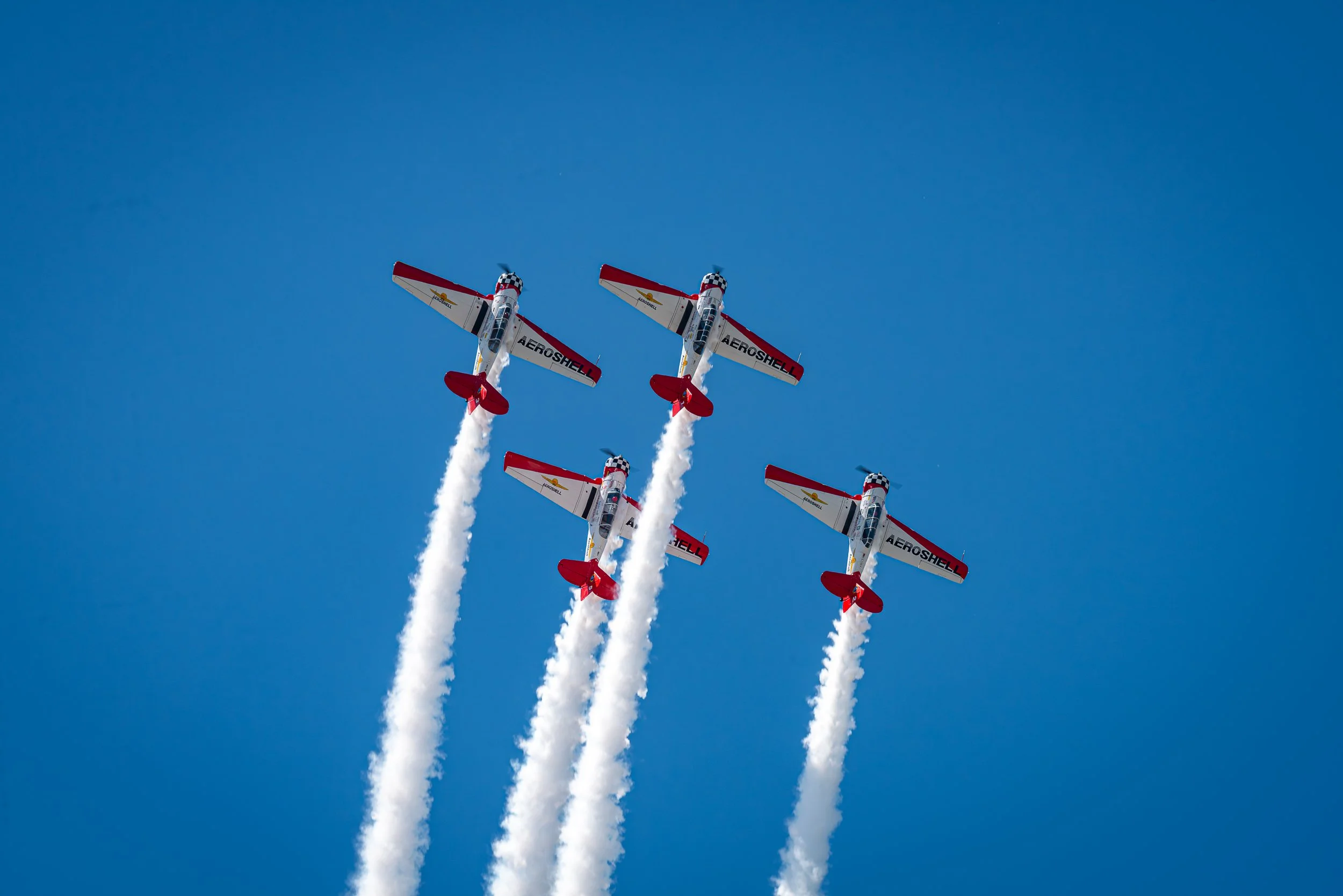 _DSC7480.jpg