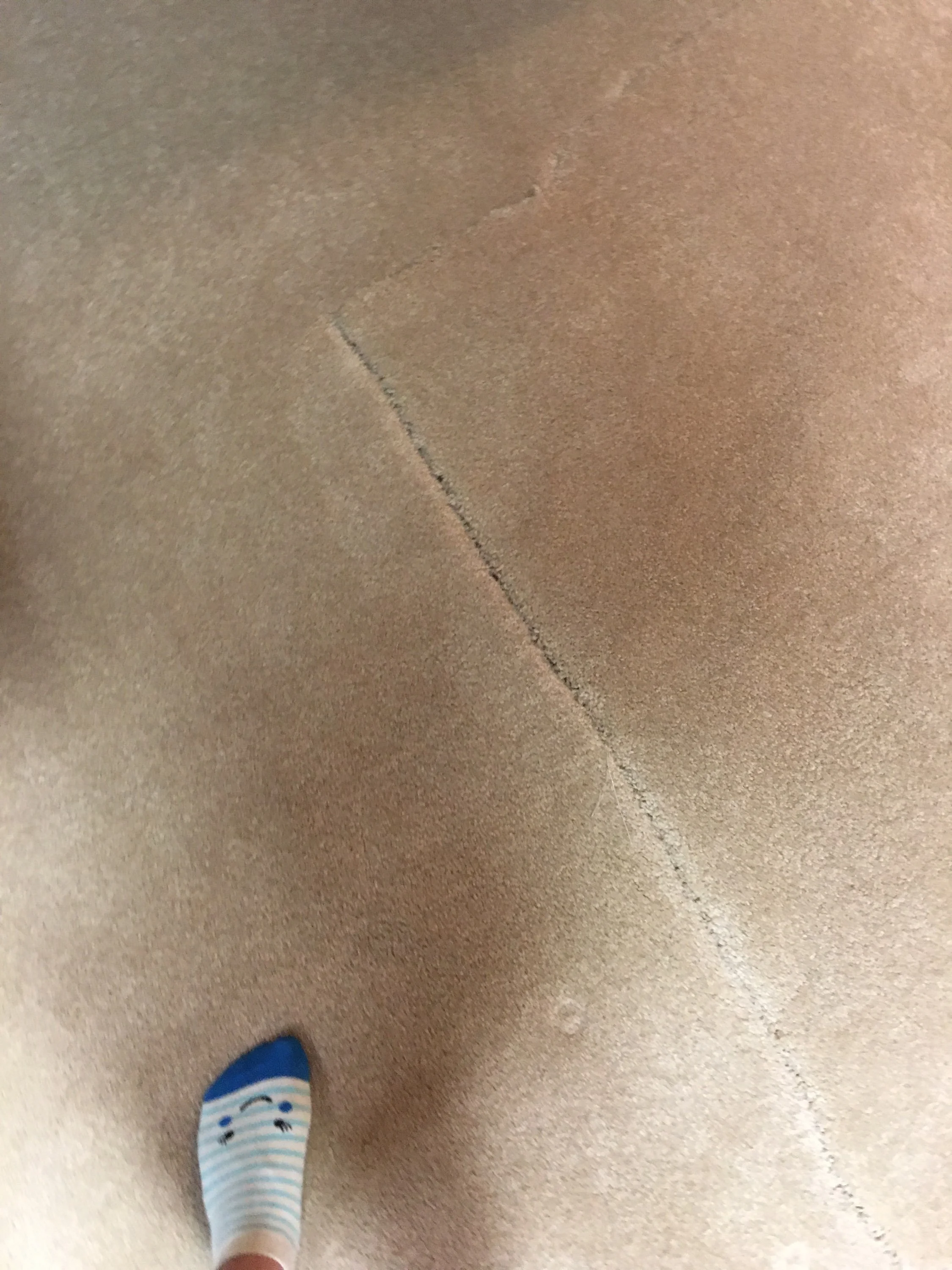 A person standing on a beige carpeted floor wearing blue and white striped socks.