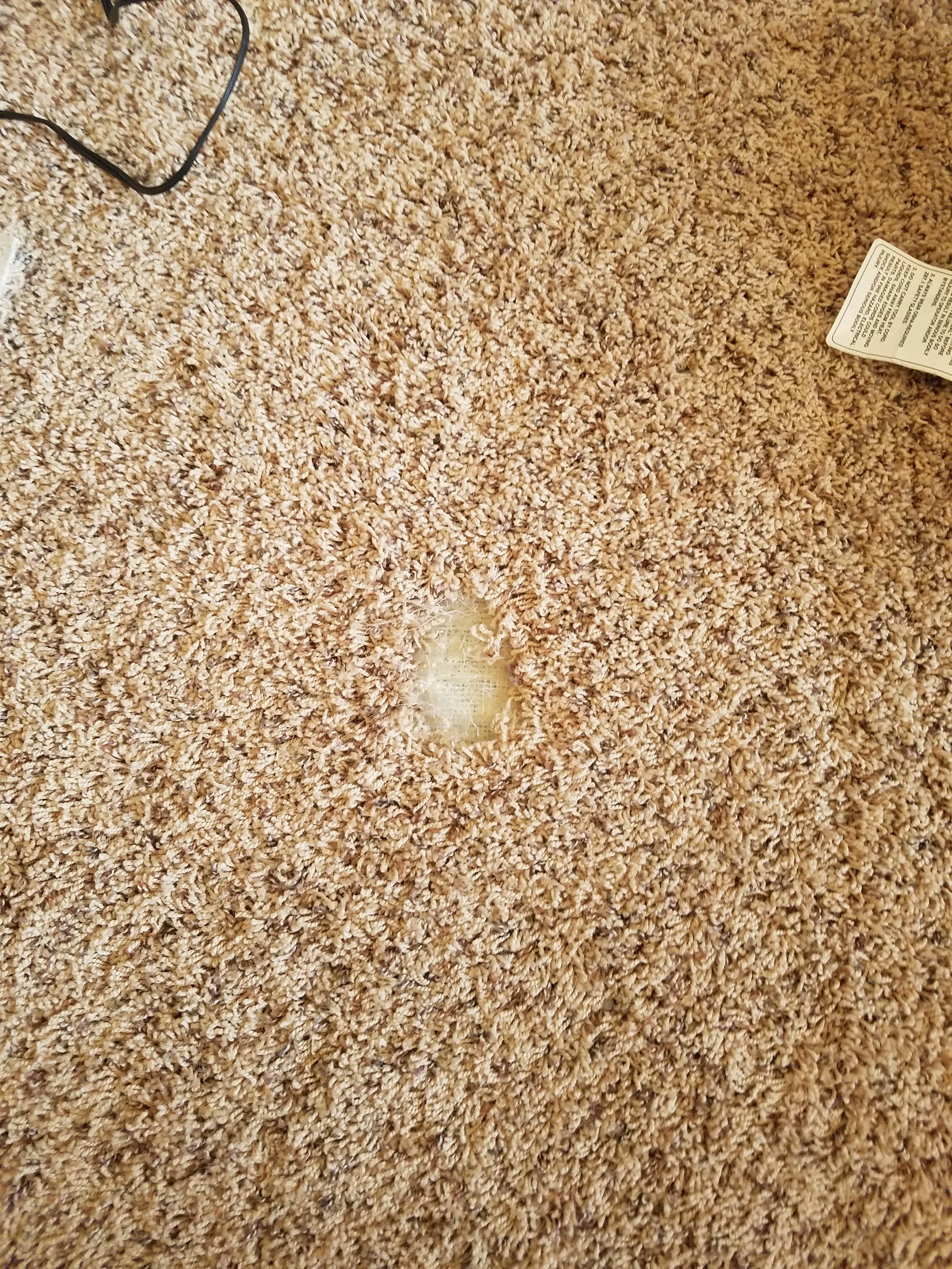 A beige shag carpet with a small tear near the bottom center. A black electrical cord is visible in the upper left corner, and a partially visible white and black item with instructions is on the right side.