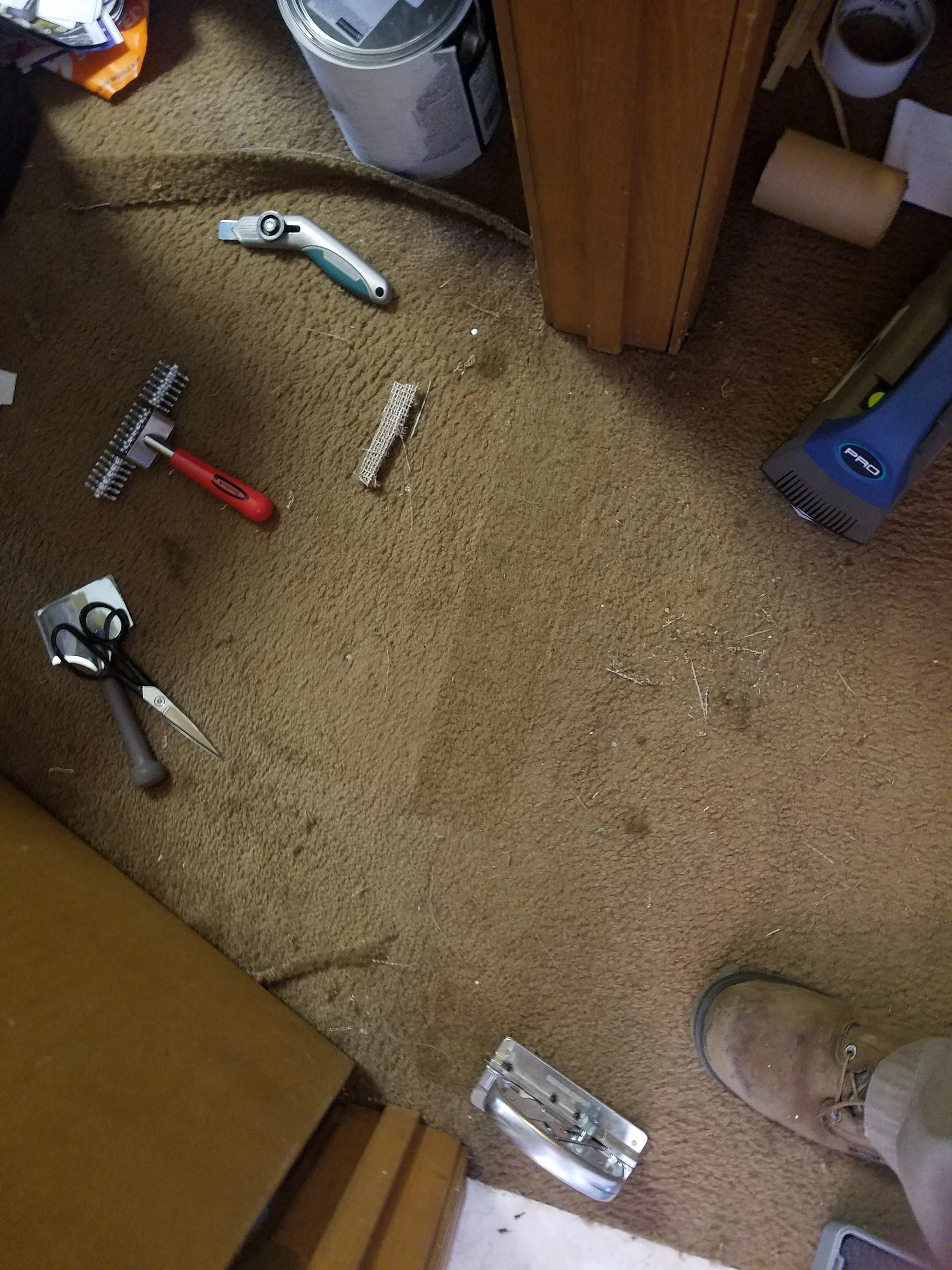 Various tools and supplies scattered on a dirty brown carpet, including scissors, pliers, a box cutter, a staple gun, and a small scraper.