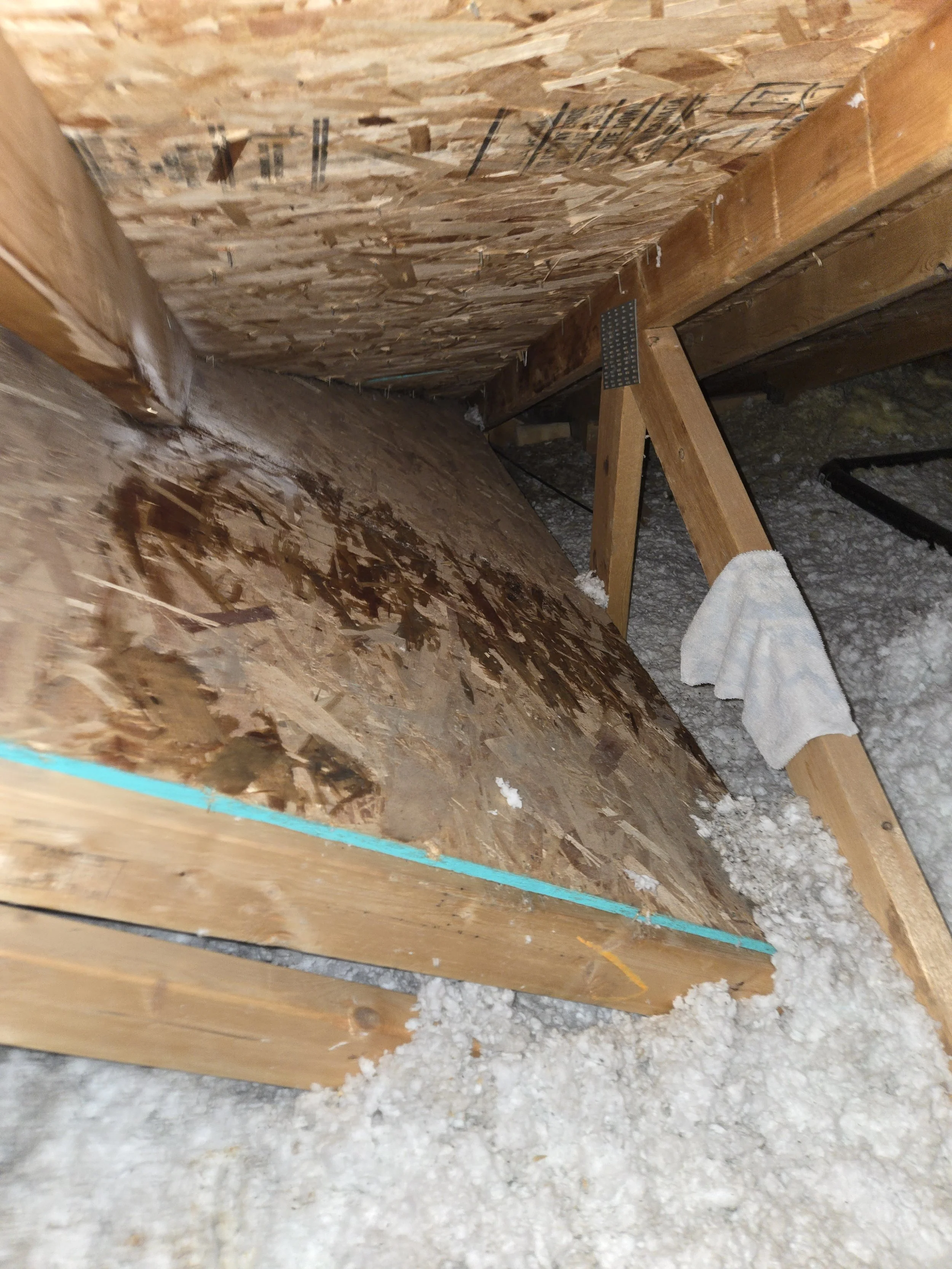 Inside view of an attic showing exposed wooden beams, insulation, and plywood sheathing.