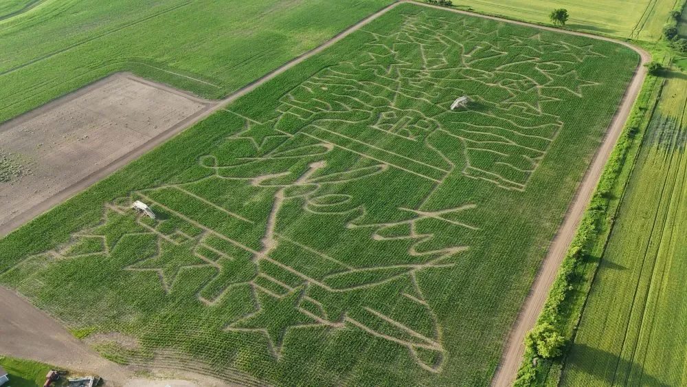 Red Barn Corn Maze