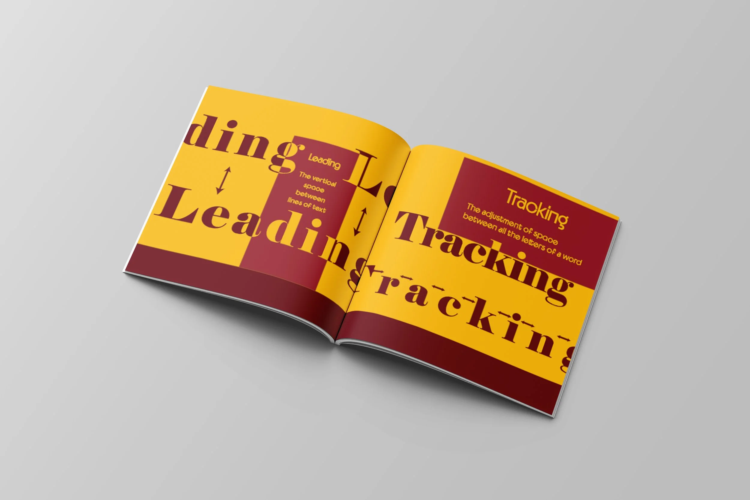 typog booklet pic 1.jpg