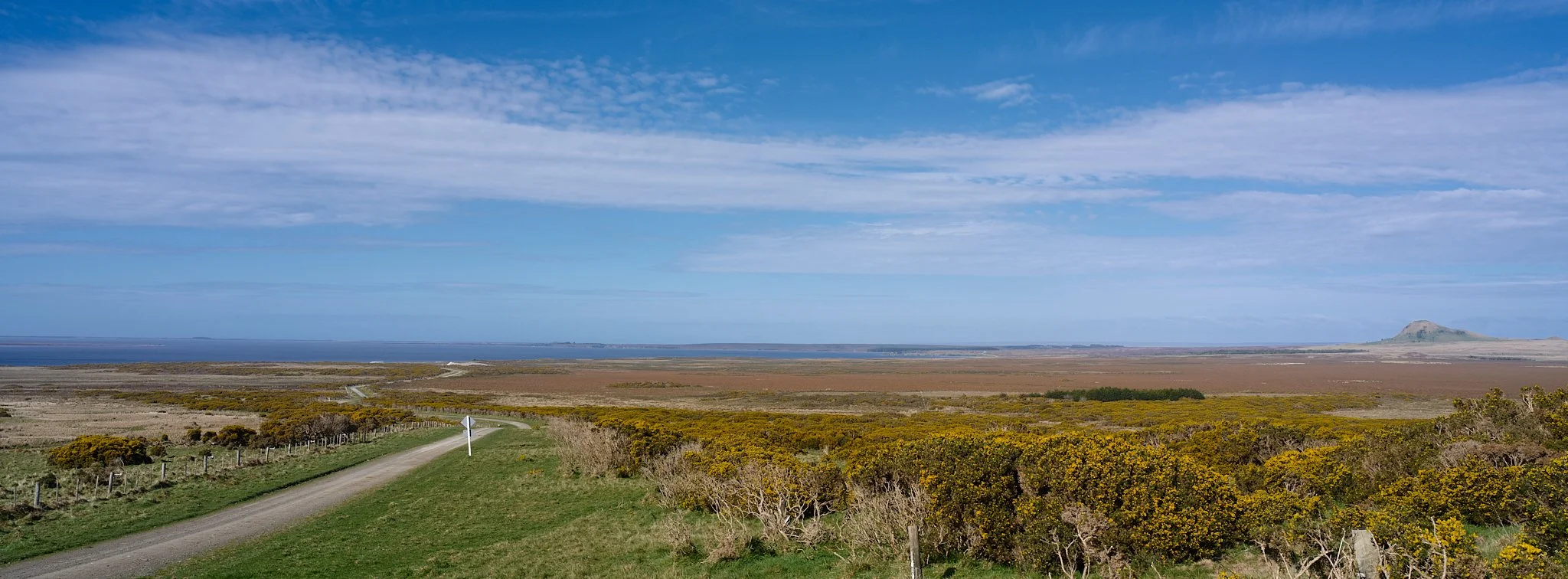 B0001025.jpg
