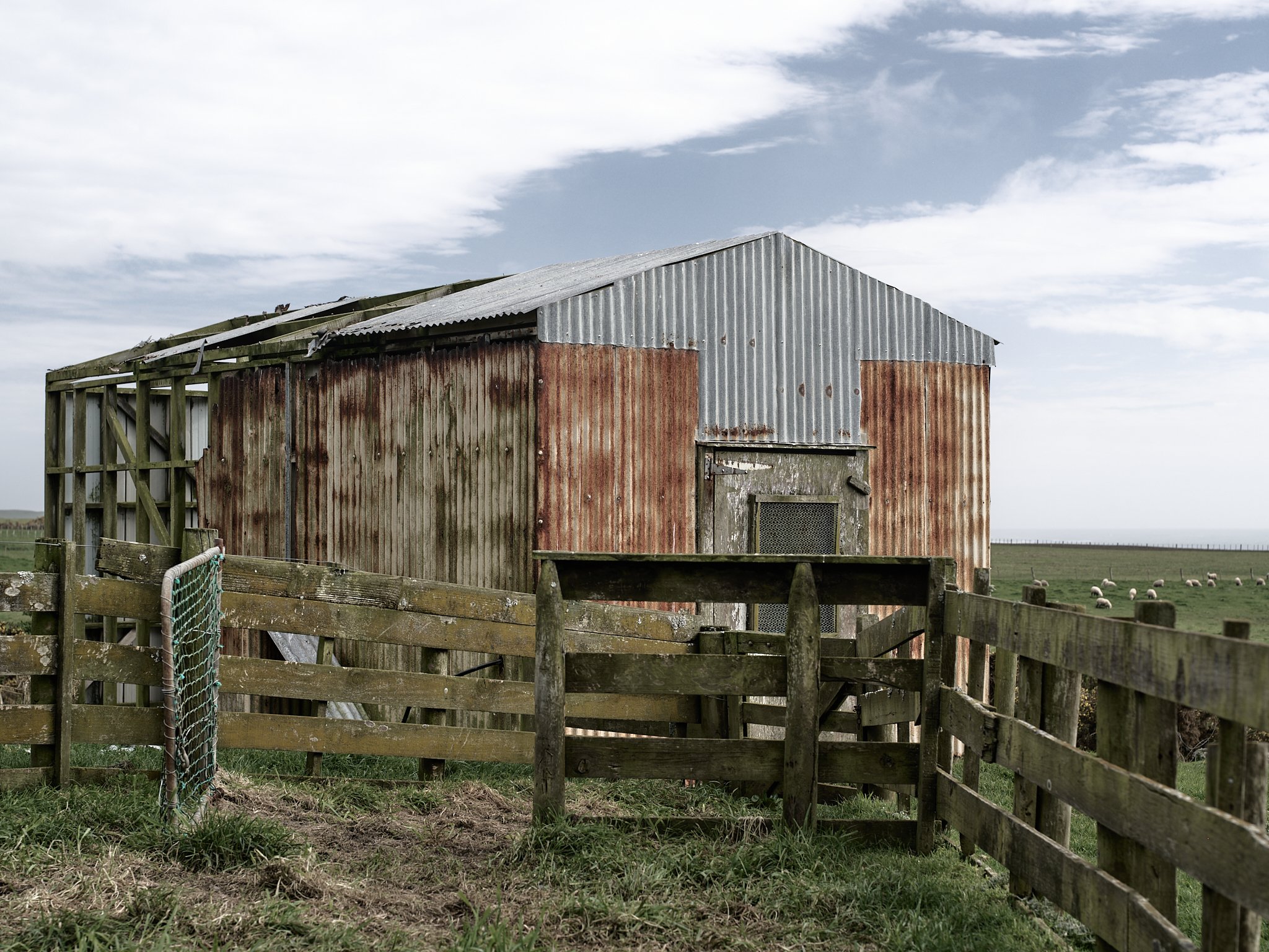 B0000983.jpg