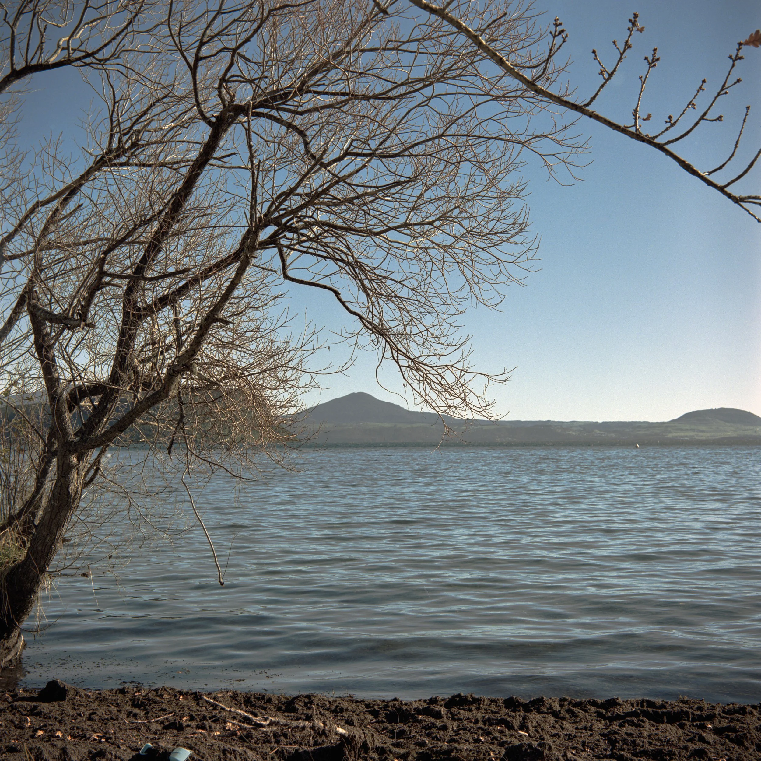 B0000279-Edit.jpg
