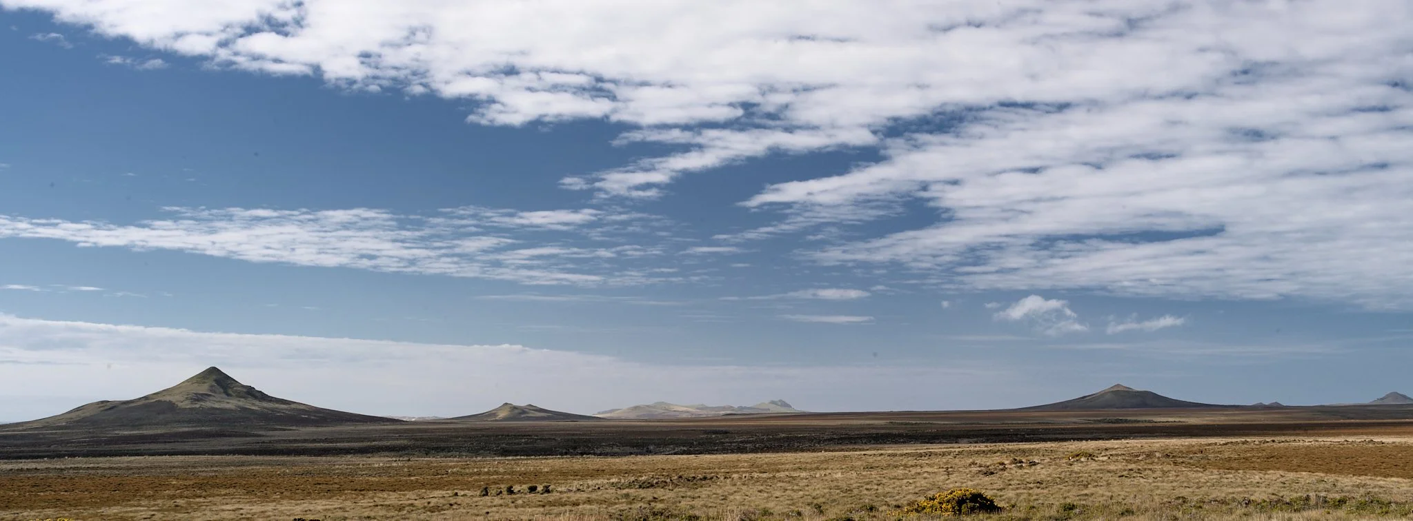 B0001038.jpg