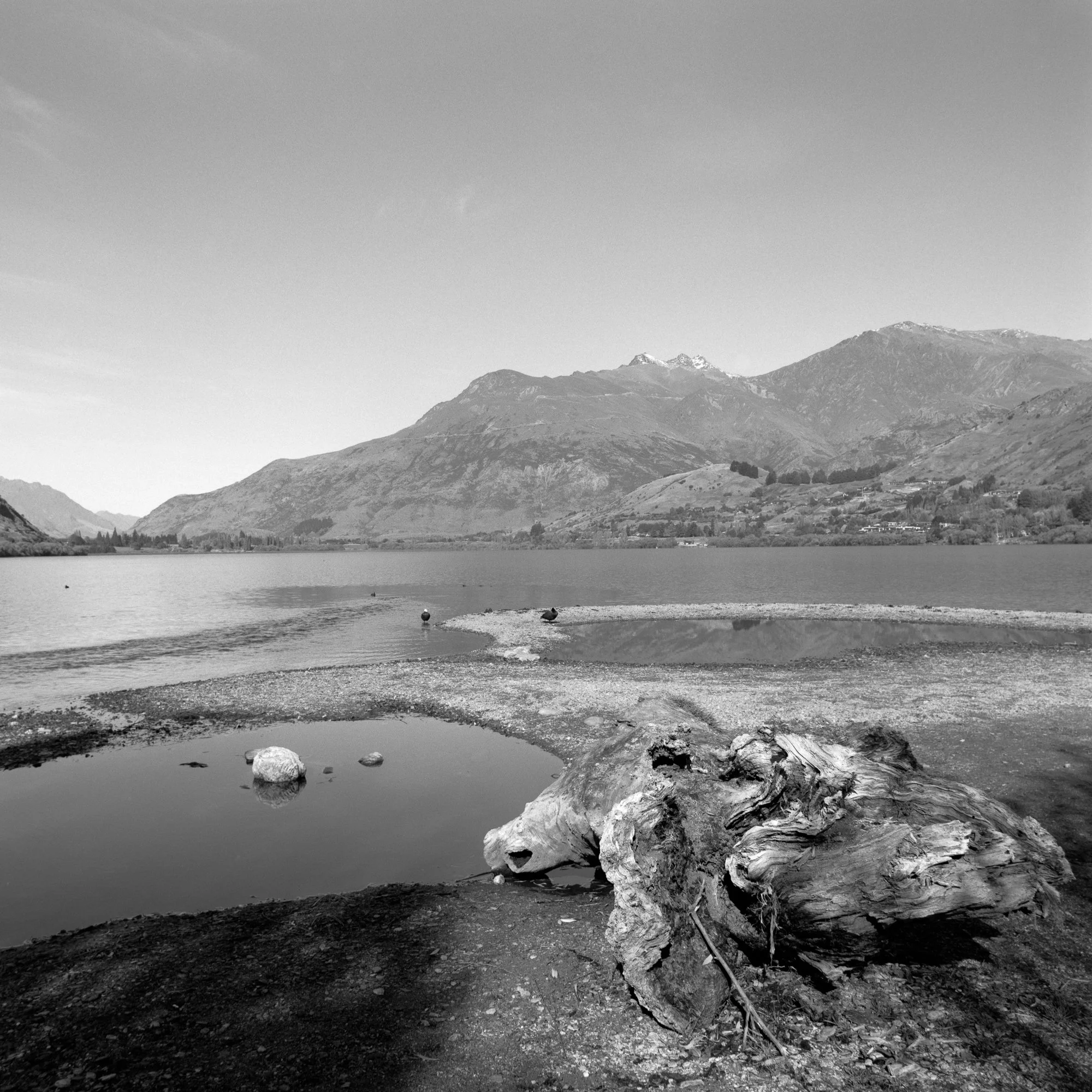 _DSF2676-Edit.jpg