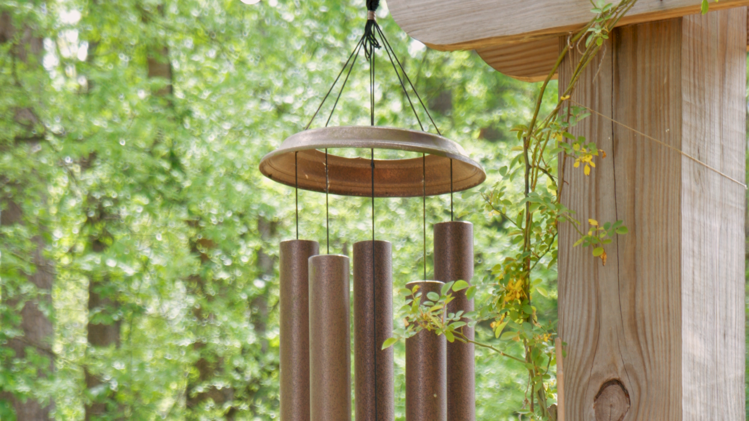 Wind Chimes WEBSITE.png