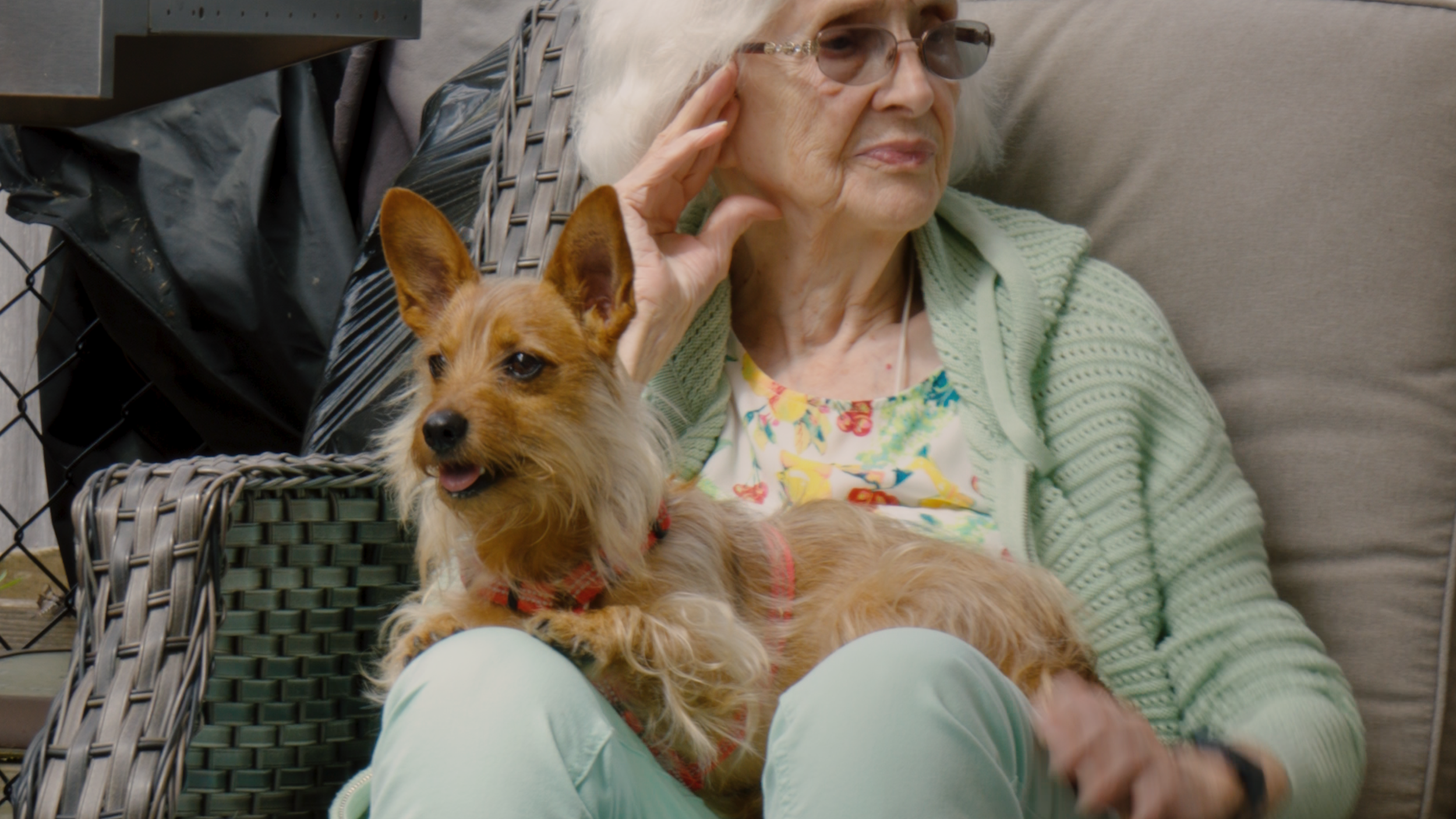 Gigi and Bowe.png