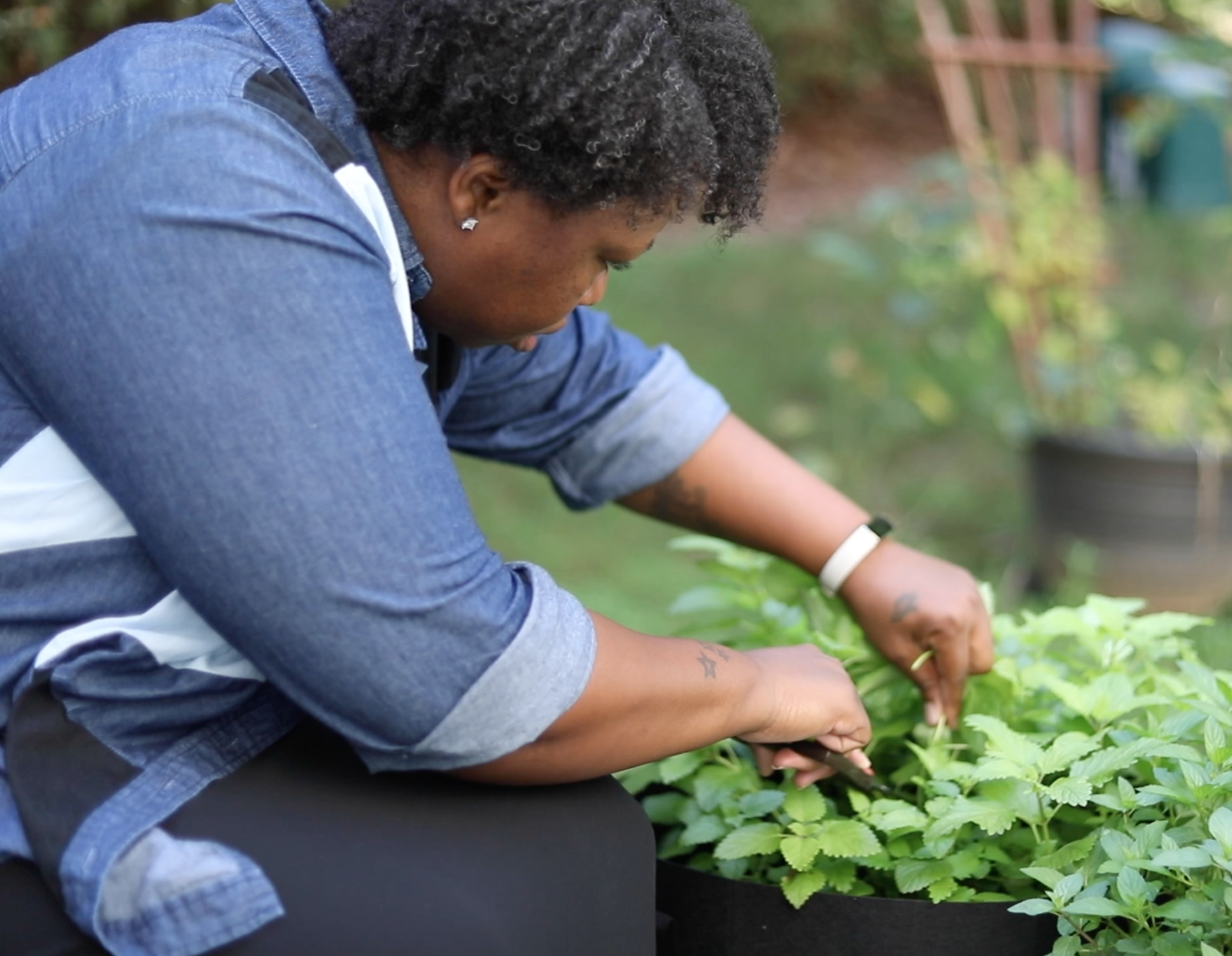 What My Garden Is Teaching Me About Faith and Wellness: 5 Lessons in Whole Living