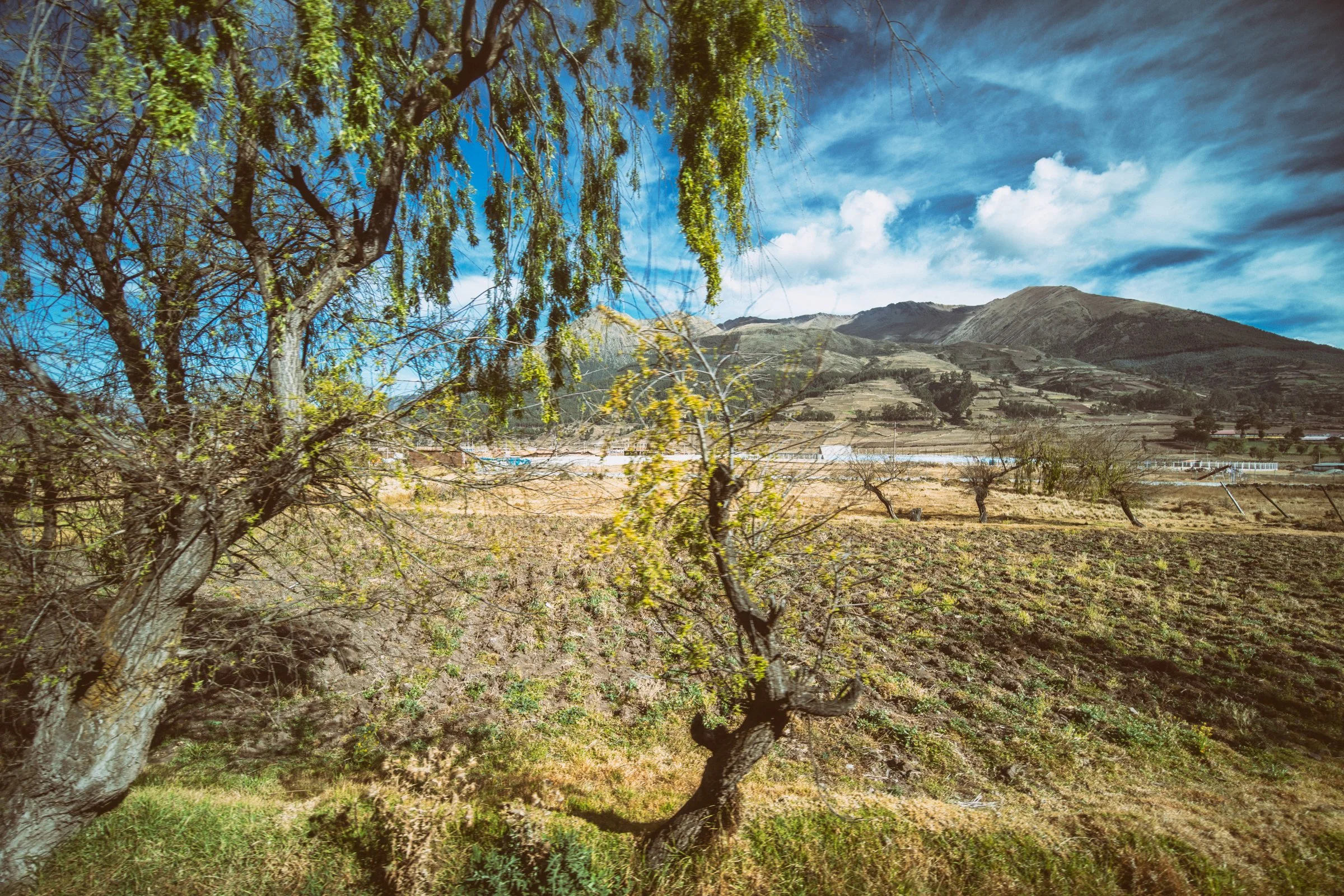 South America_0688-Edit.jpg