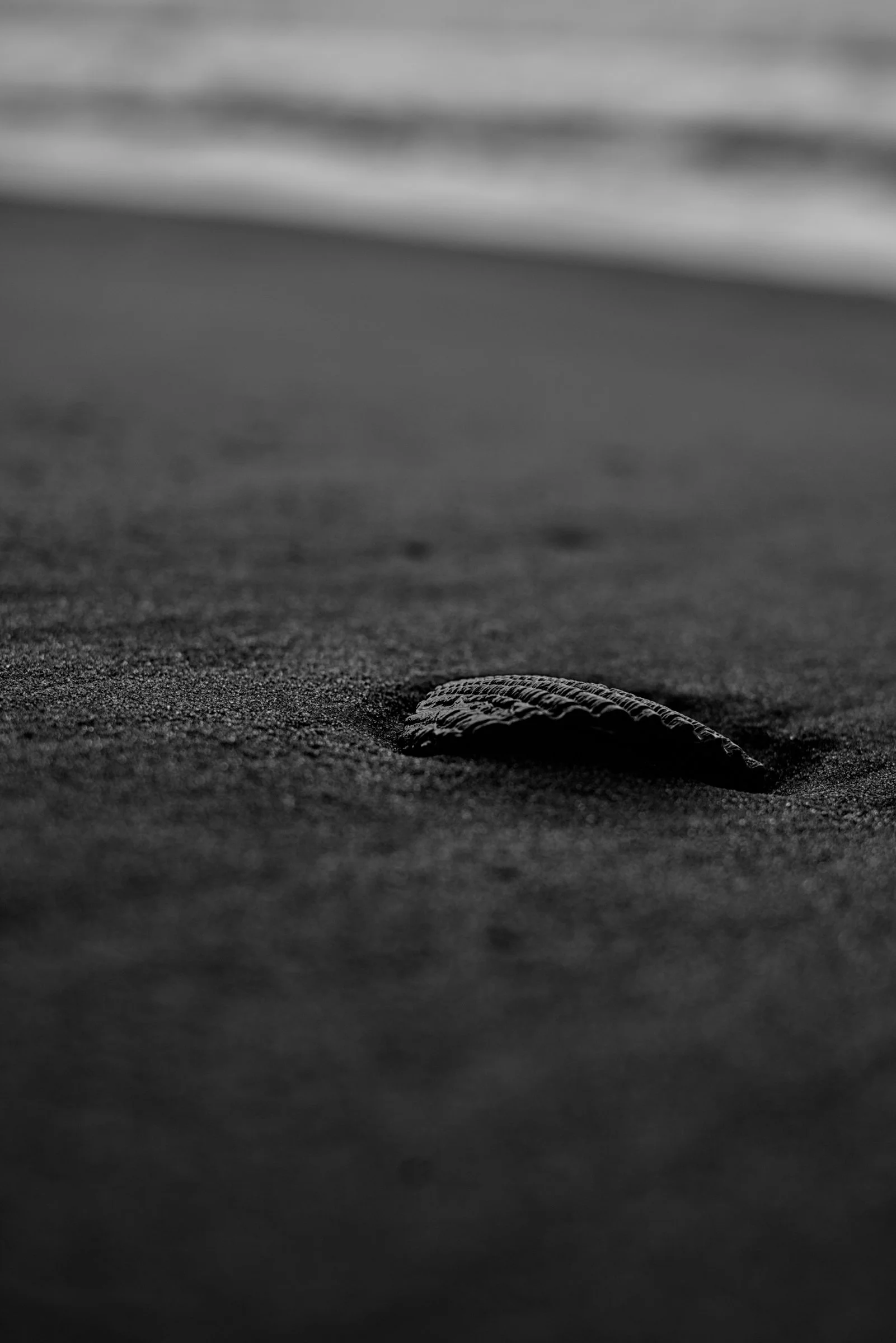 JDW01362.jpg