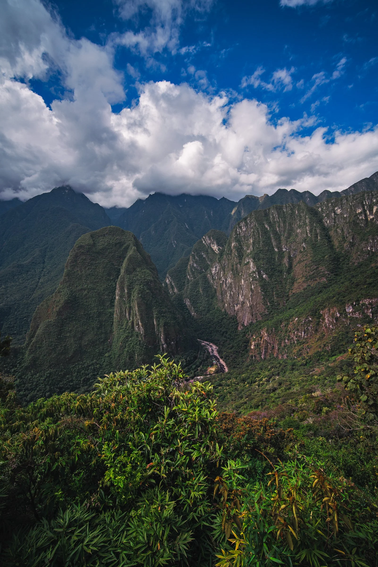 South America_0814-Edit.jpg
