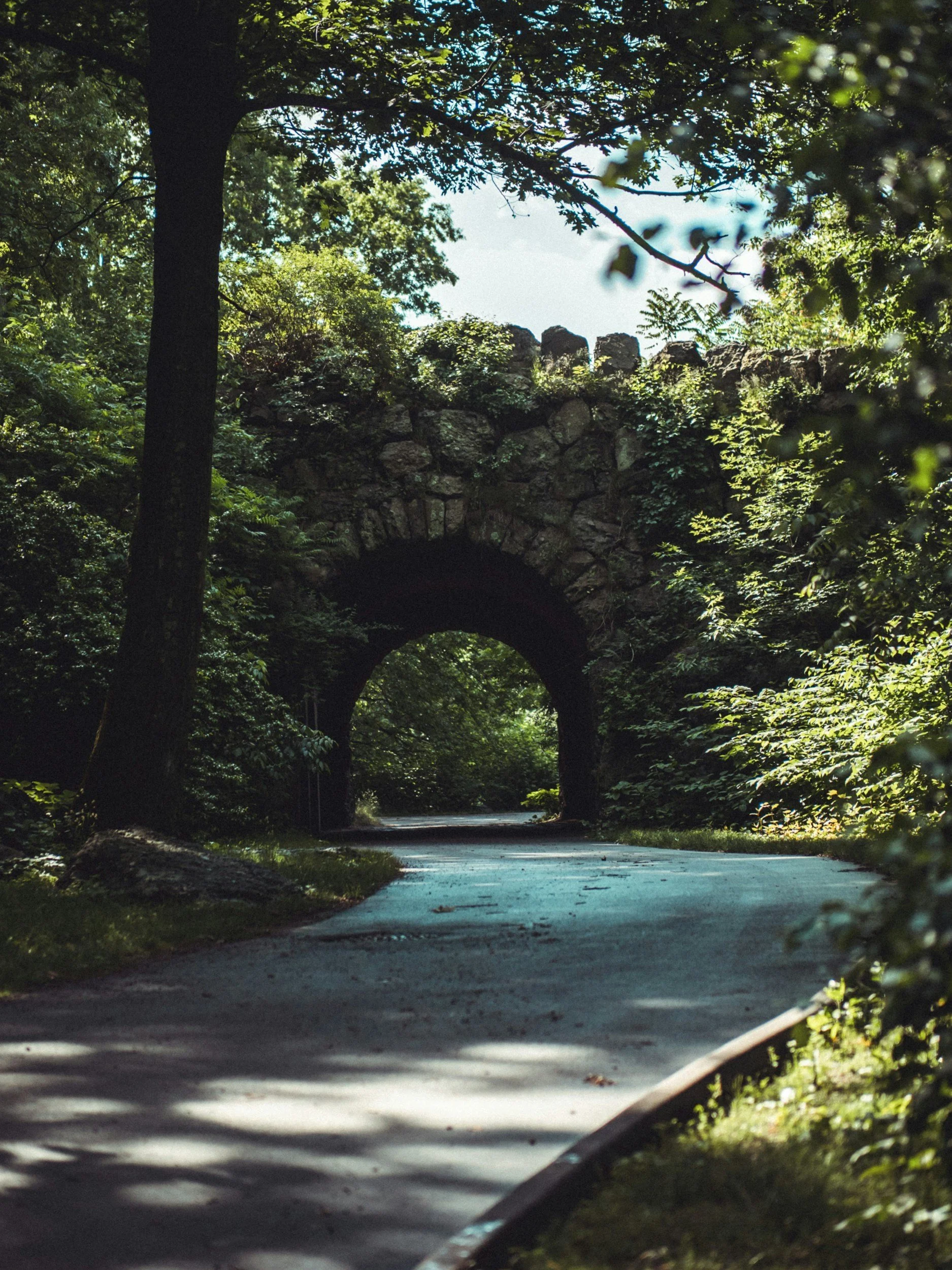 A road passing through a lush green forest with an arched stone bridge or structure over the road, surrounded by trees and foliage.