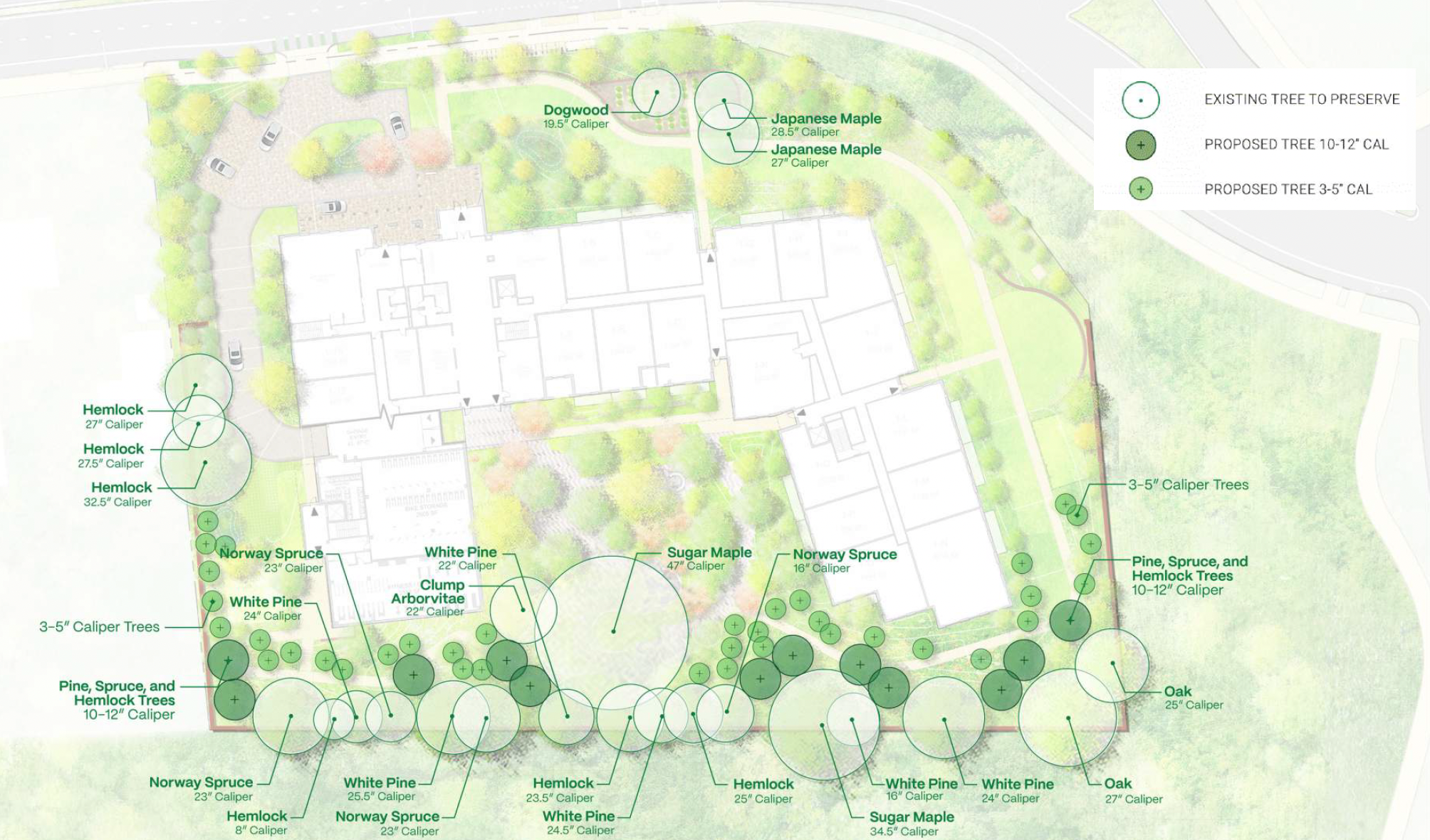 Landscape plan showing various types of trees with their respective sizes and locations around a building, including Japanese Maple, Dogwood, Hemlock, Norway Spruce, White Pine, Sugar Maple, Oak, and Pine, Spruce, and Hemlock Trees.
