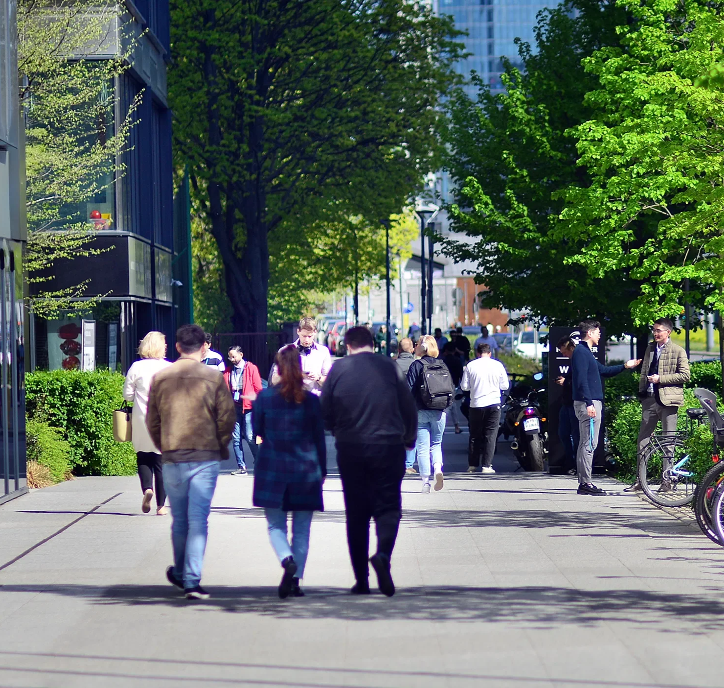 People walking on a city sidewalk lined with green trees, some engaged in conversations, others focused on their phones, with bicycles parked nearby and tall buildings in the background on a sunny day.