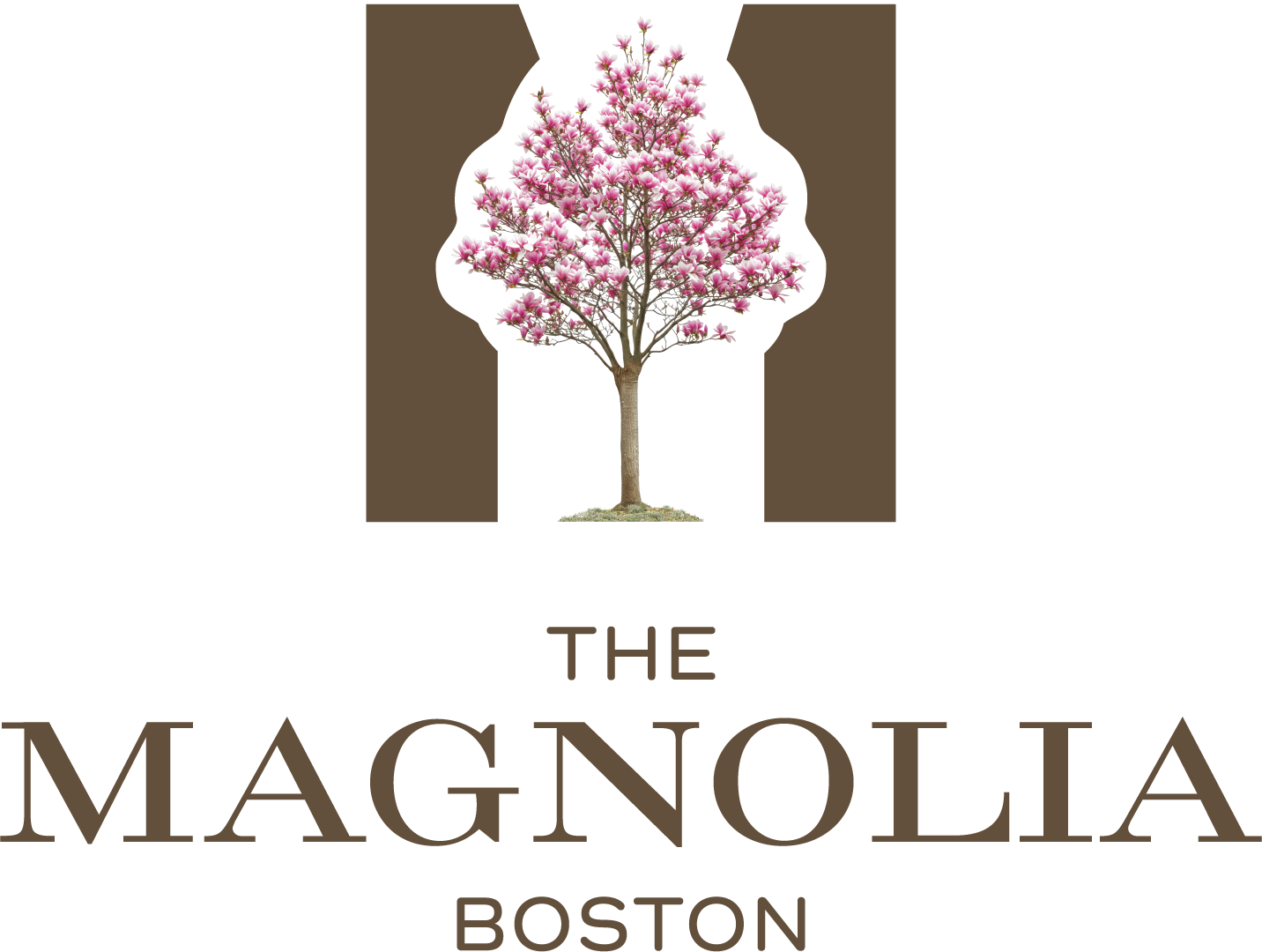 The Magnolia / Boston