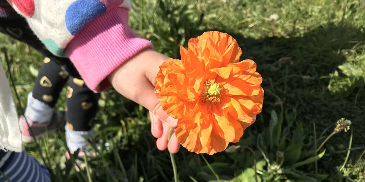 blog-6-flower.jpg