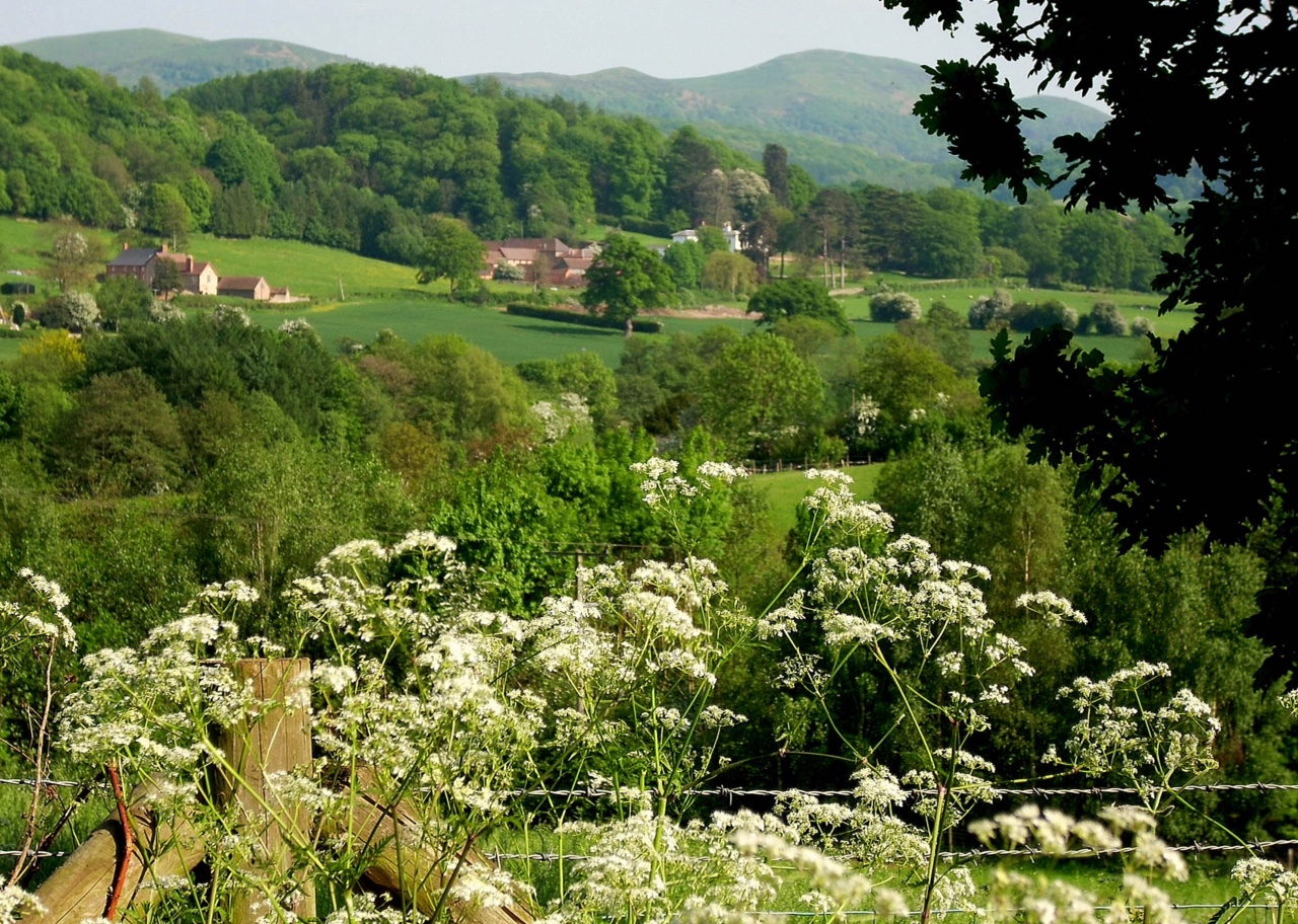 Malvern courtesy of Rachel Yallop