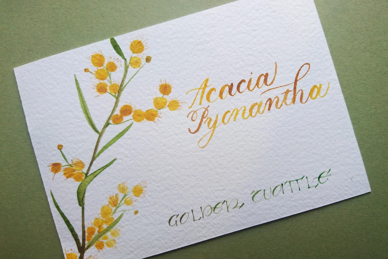 A pretty little giveaway: wattle you win?