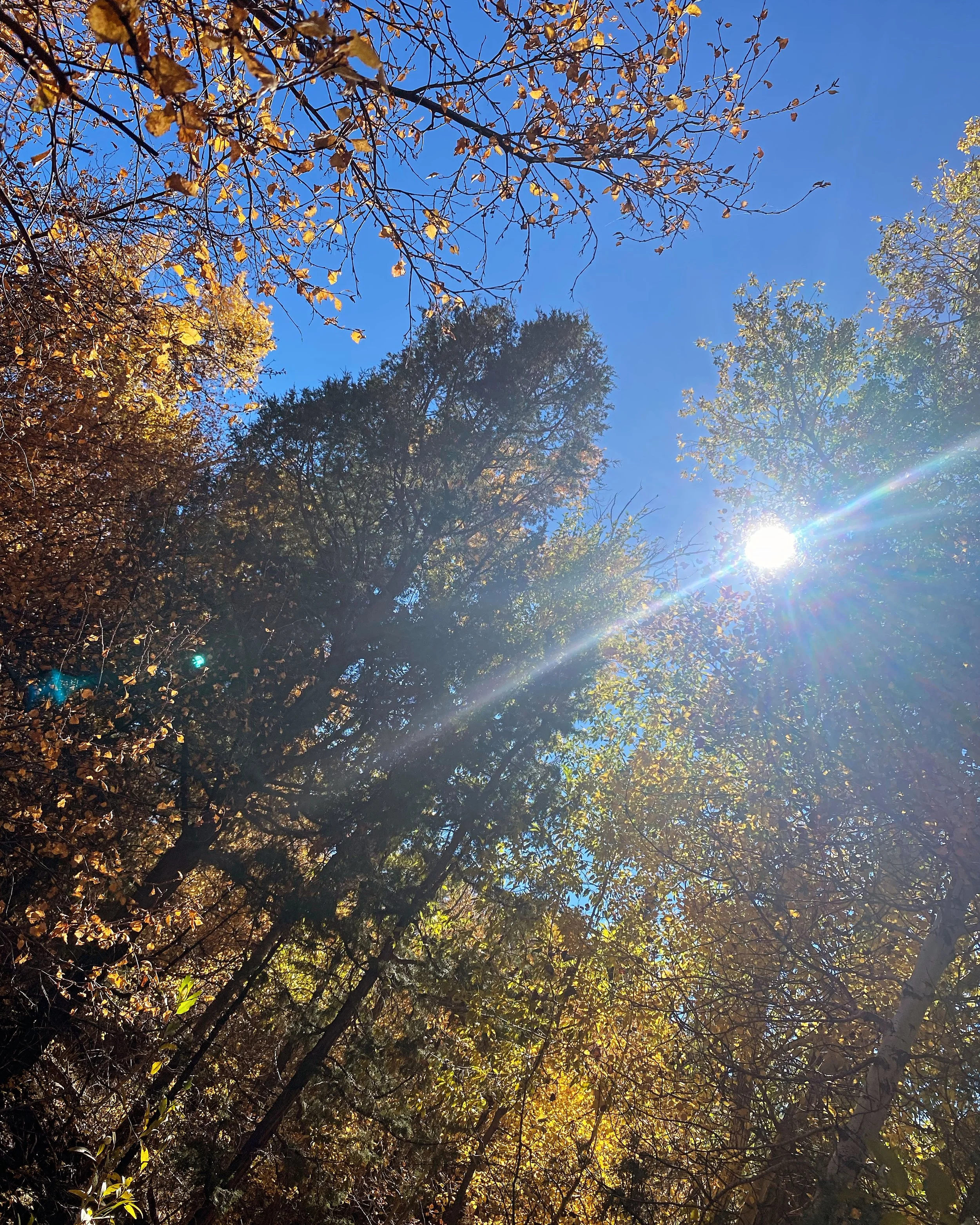 E2A7ABD5-004C-4369-885D-5347B62B9450.jpeg
