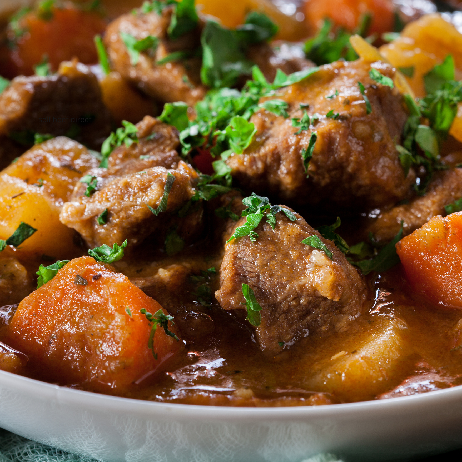 beef stew.png