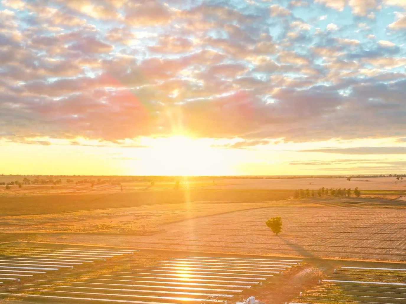 Sunrise over Wangaratta Solar Farm symbolising clean energy and carbon reduction