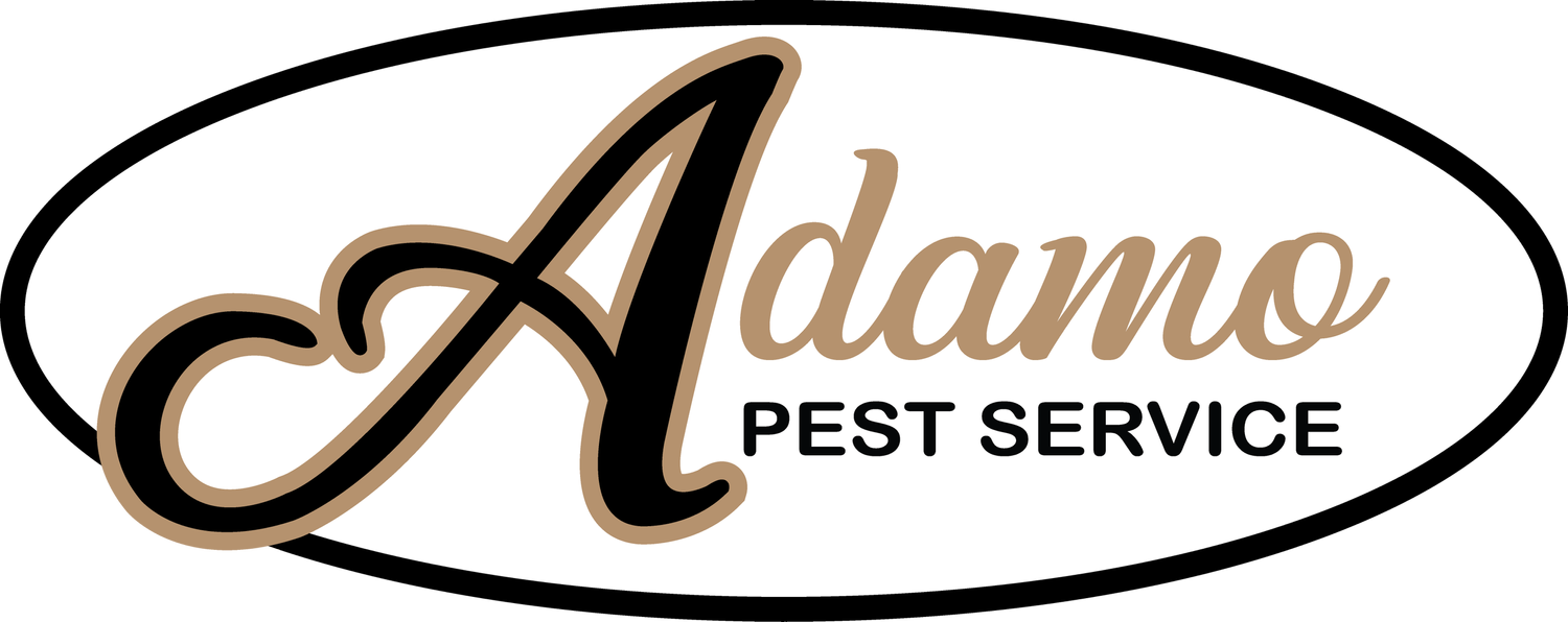 Adamo Pest Service