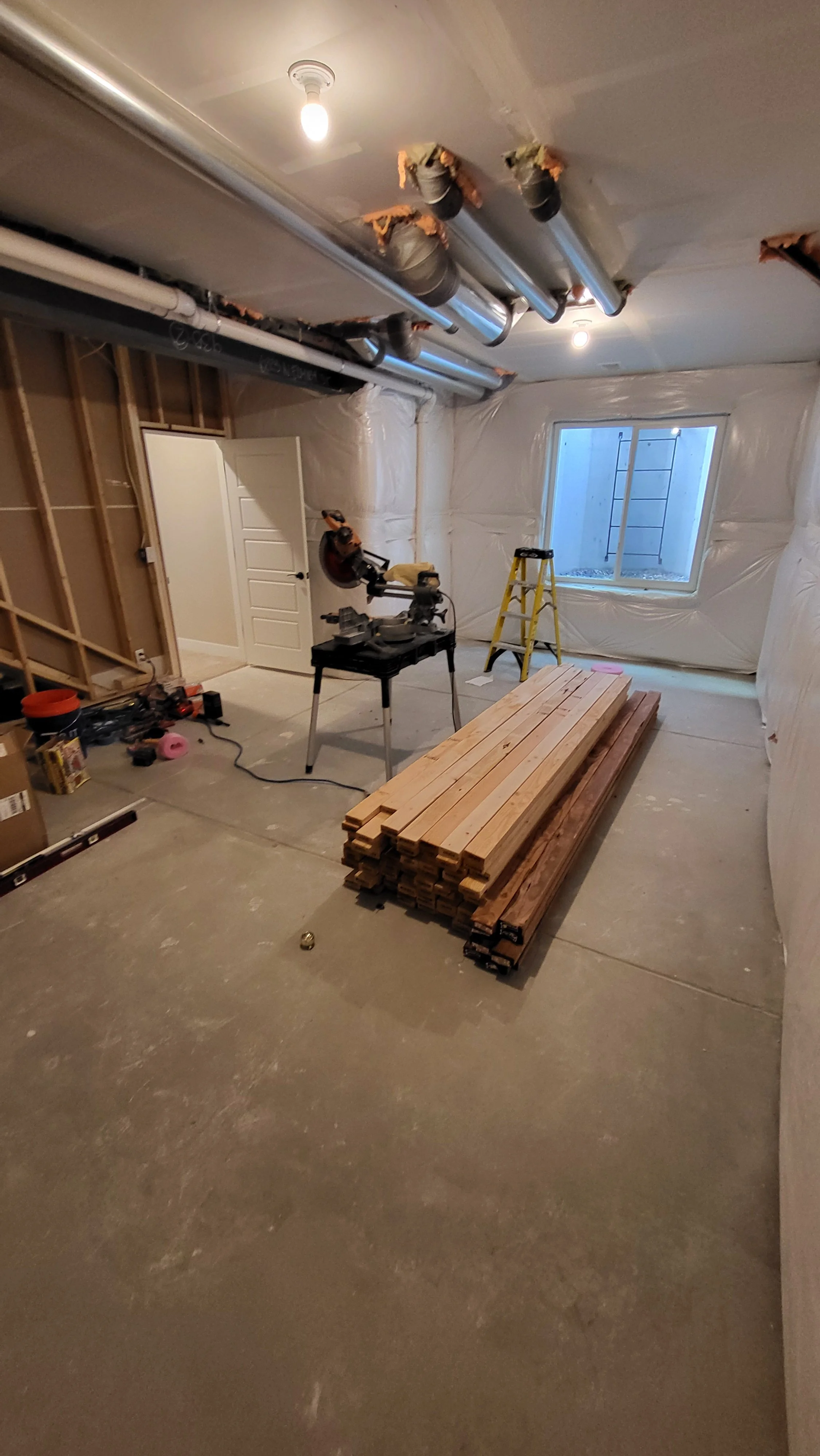 Basement Before