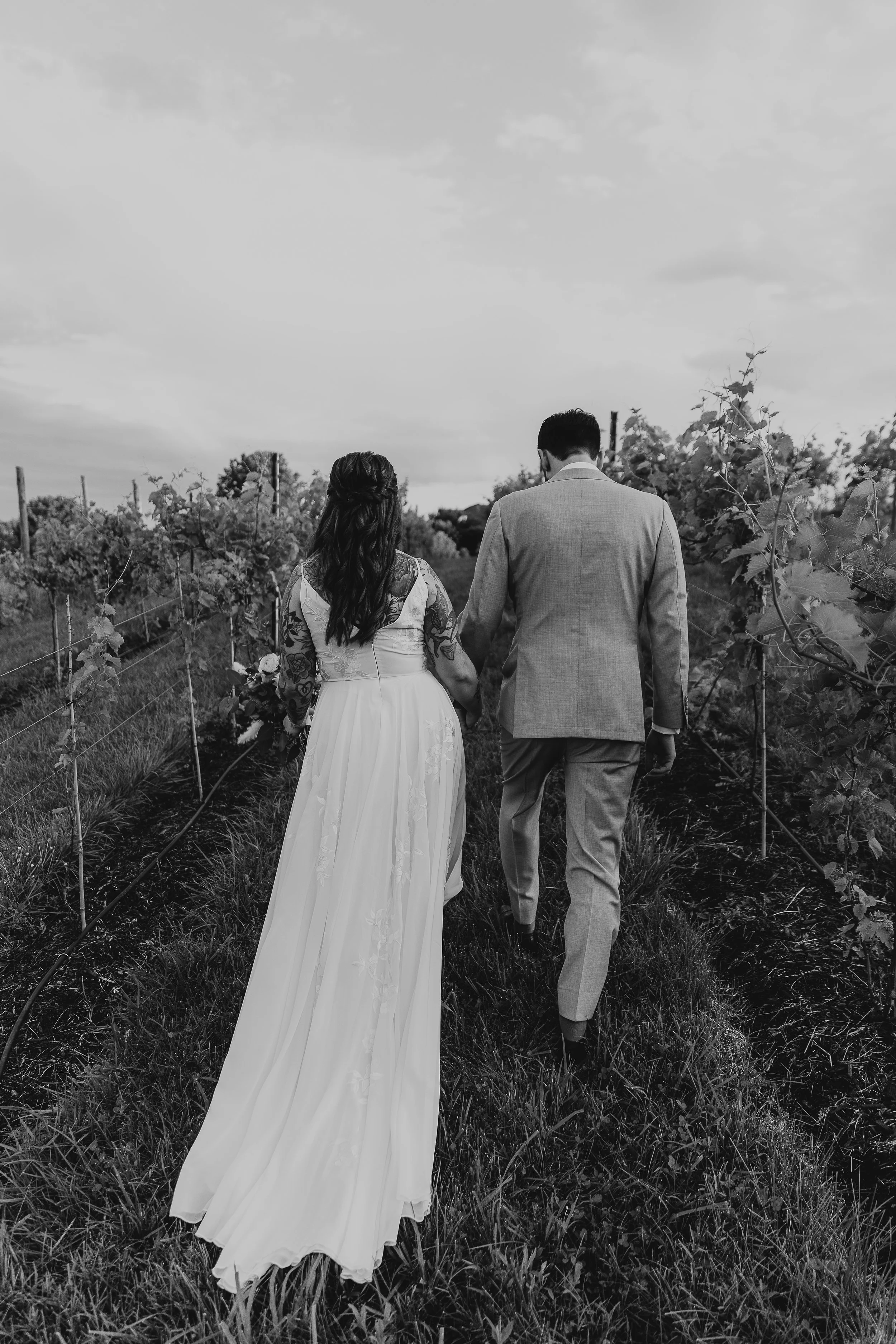 A couple dressed in wedding attire walking hand in hand through a vineyard in black and white.