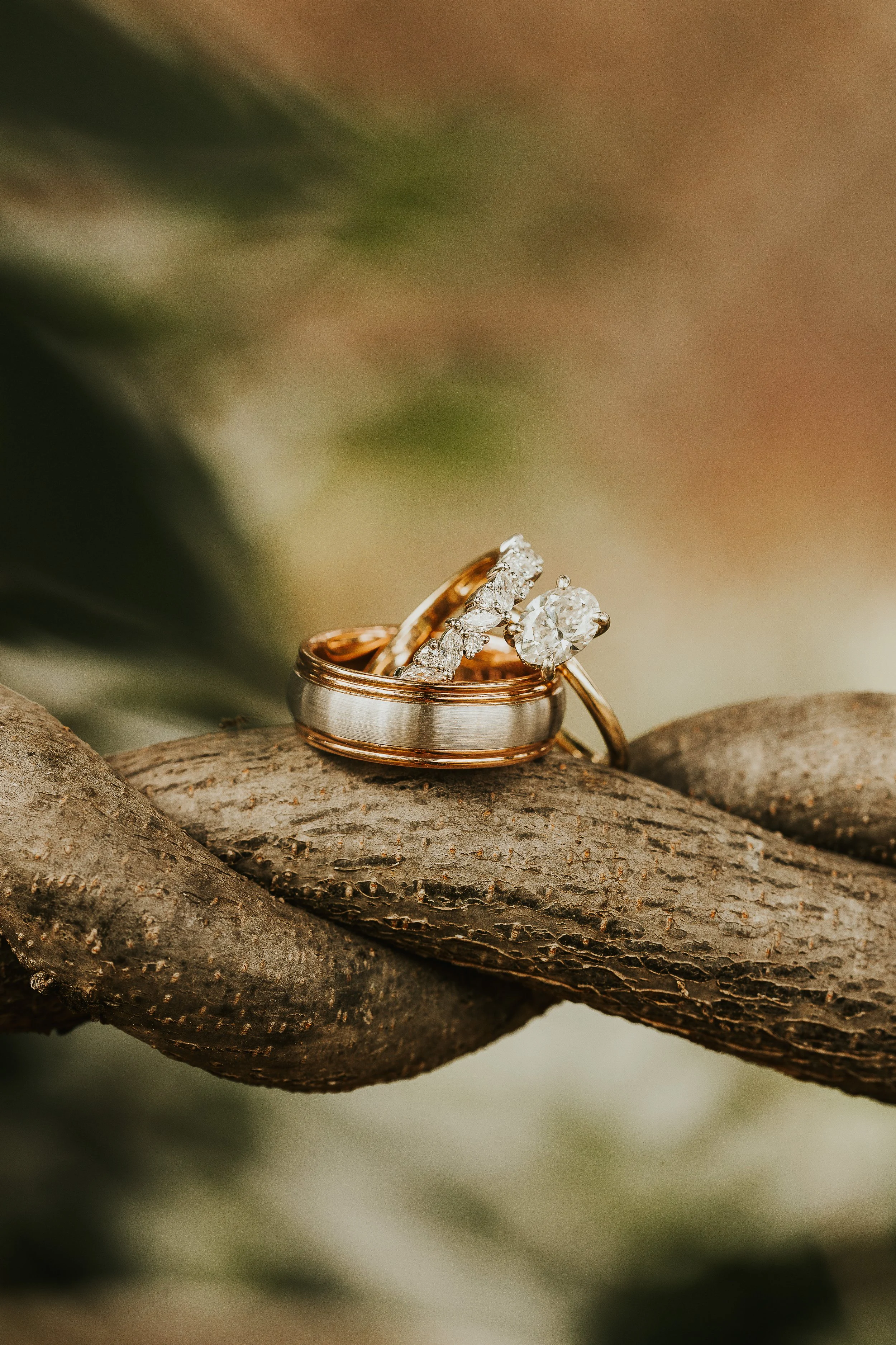 Close-up of a set of rings, including an engagement ring with a large diamond, resting on a textured tree branch.