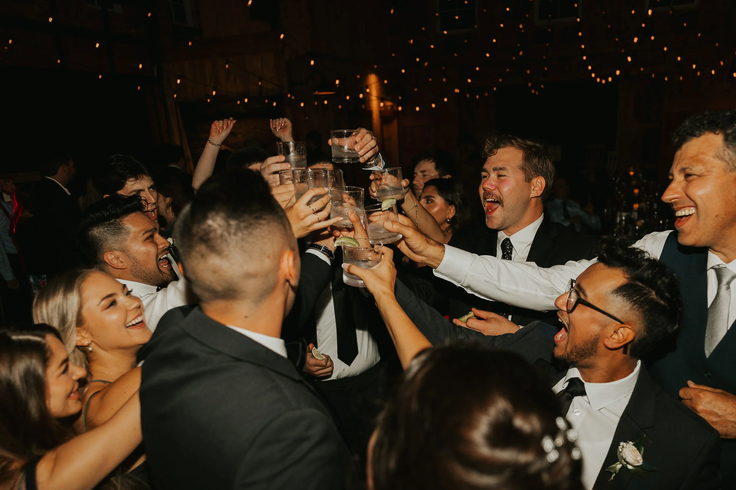 Group of people dressed in formal attire raising glasses in a toast at a celebration or wedding reception, with string lights hanging in the background.