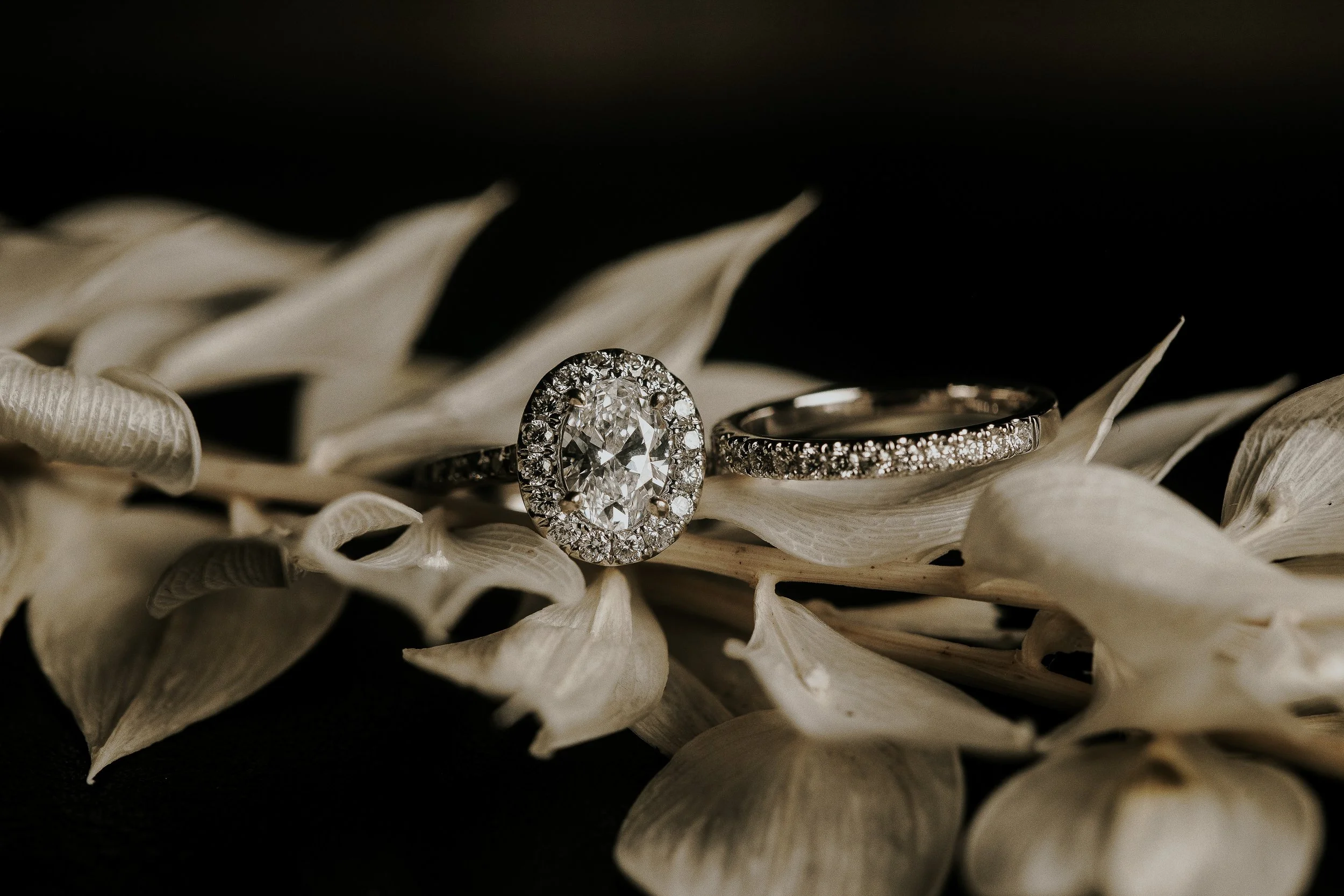 A diamond engagement ring with a large central stone surrounded by smaller diamonds, resting on white decorative petals.