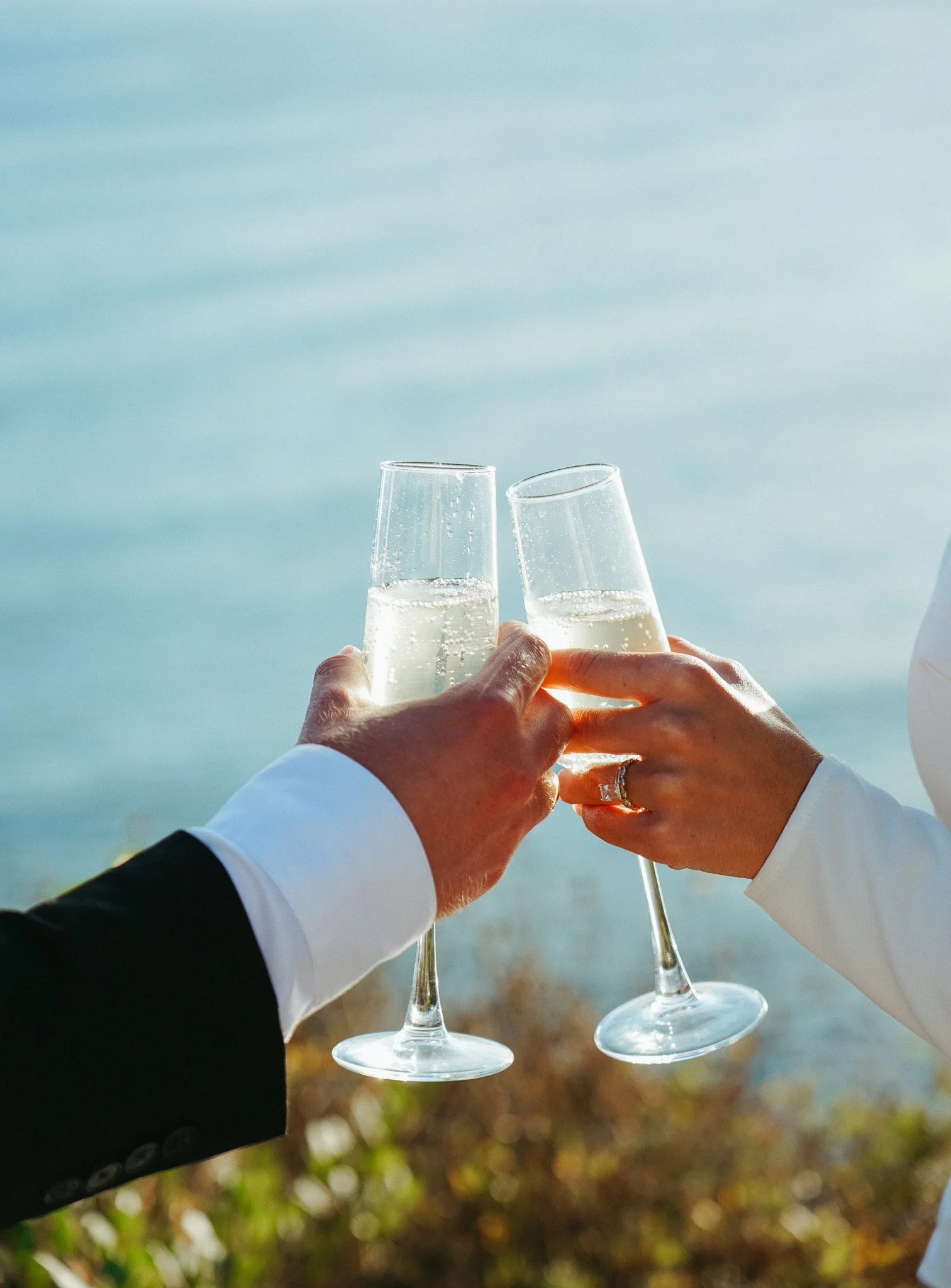 Two people in formal attire clinking champagne glasses outdoors against a blurred background of trees and sky.