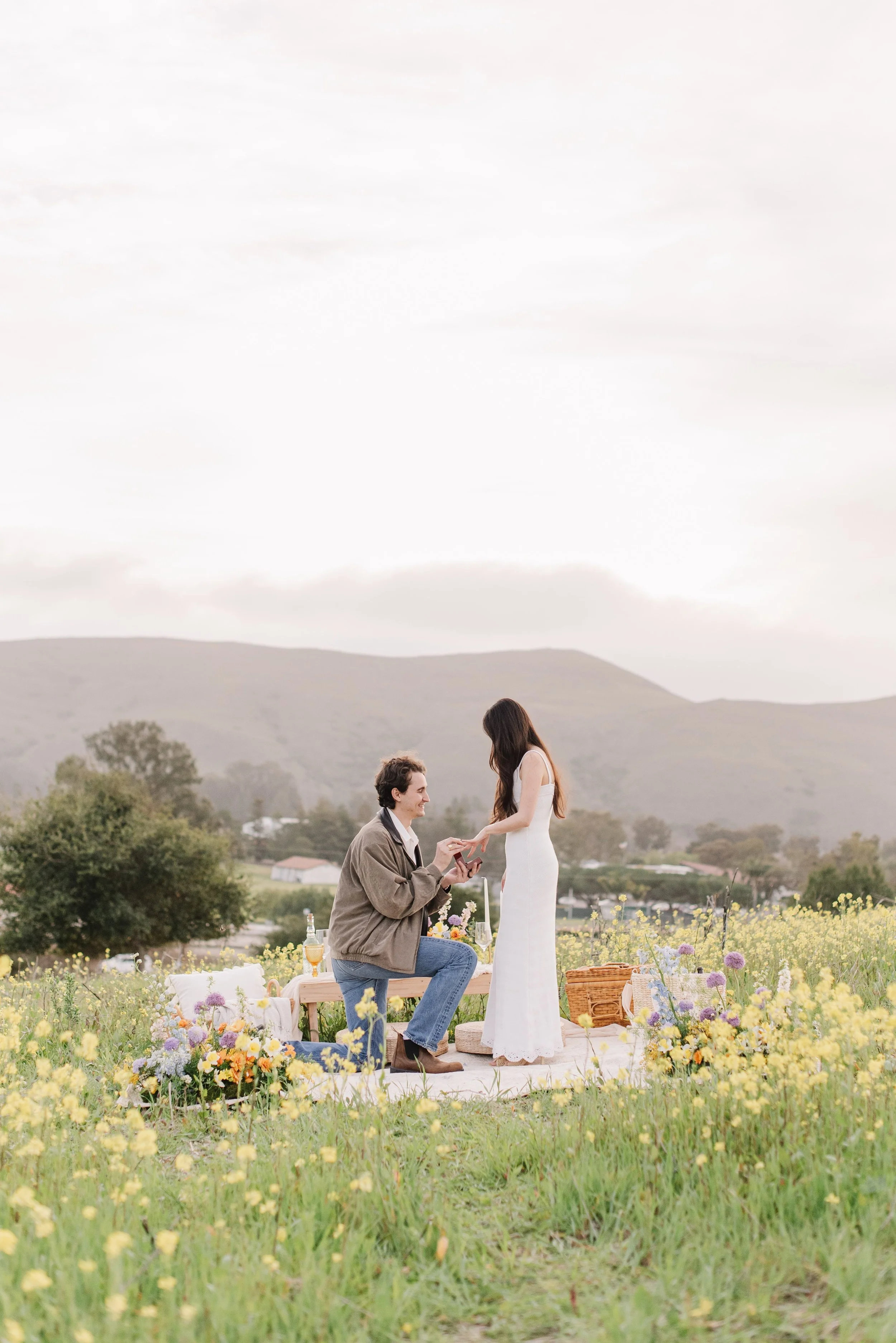 A man proposes marriage to a woman in a field of yellow flowers during an outdoor picnic. The scene is set with a picnic blanket, basket, and flowers on a sunny day with mountains in the background.