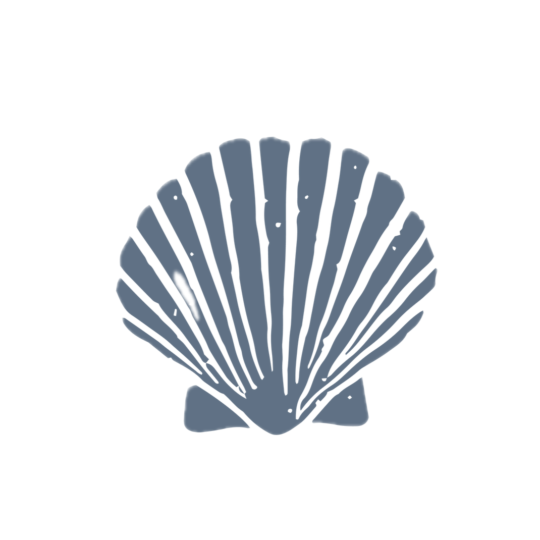 Graphic of a scallop shell with gray and white coloring.