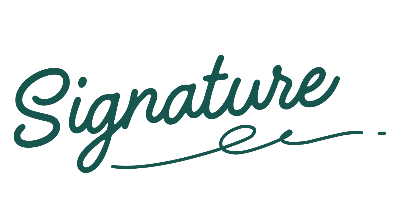 Signature | Program Design for Coaches