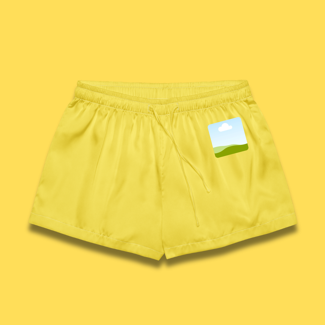 Paris Daisy Women's Pajama Shorts.png
