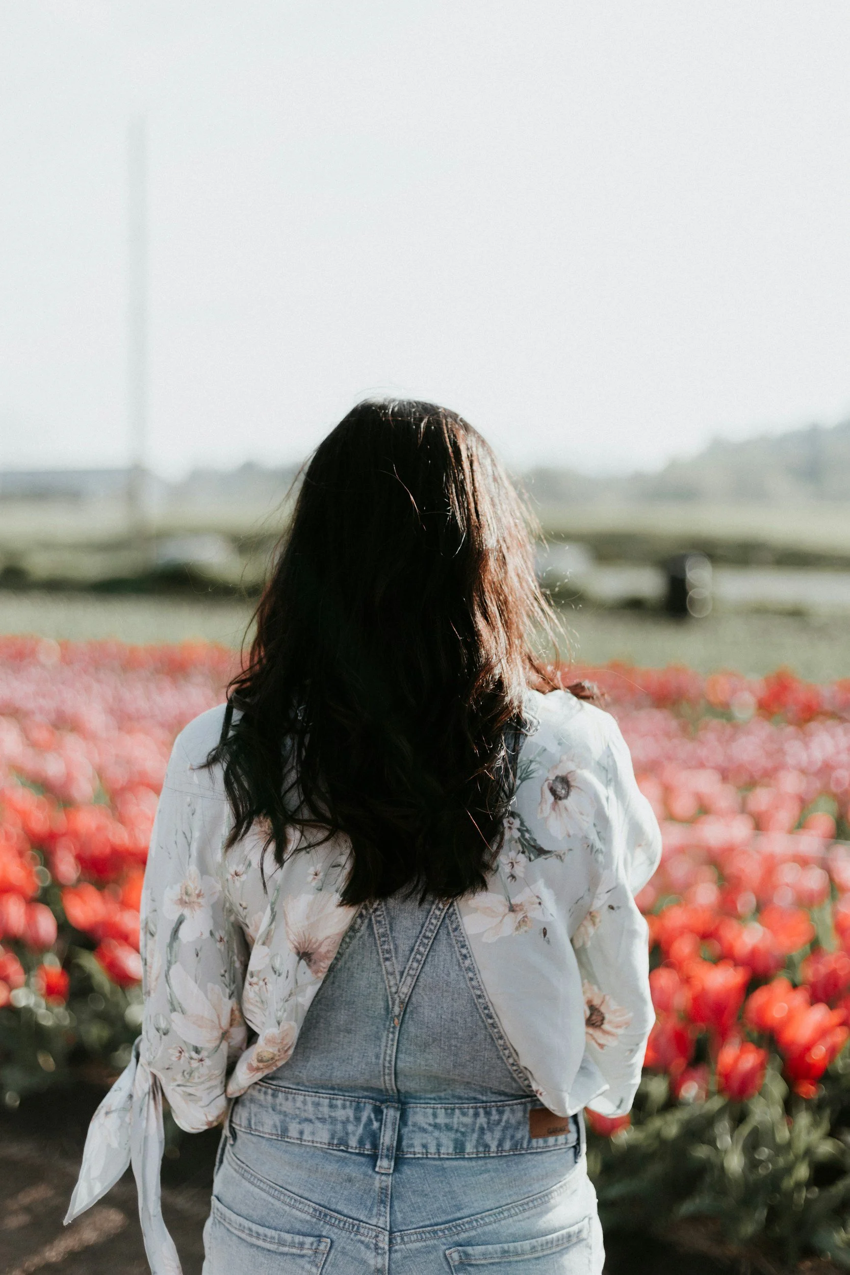 A girl standing looking out over a field of red flowers.