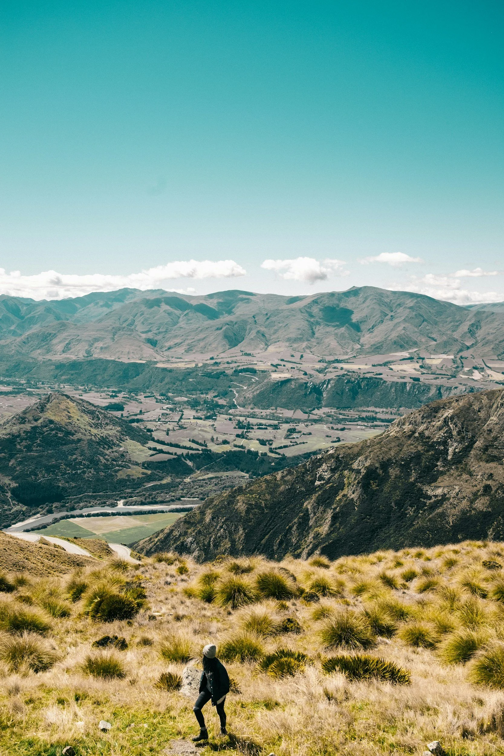 An individual hiking along a tussock covered hill in Queenstown.