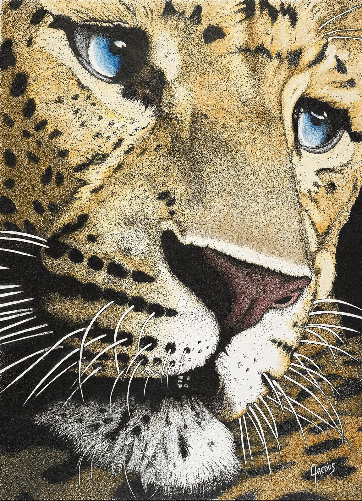 Leopard 72 dpi.jpg