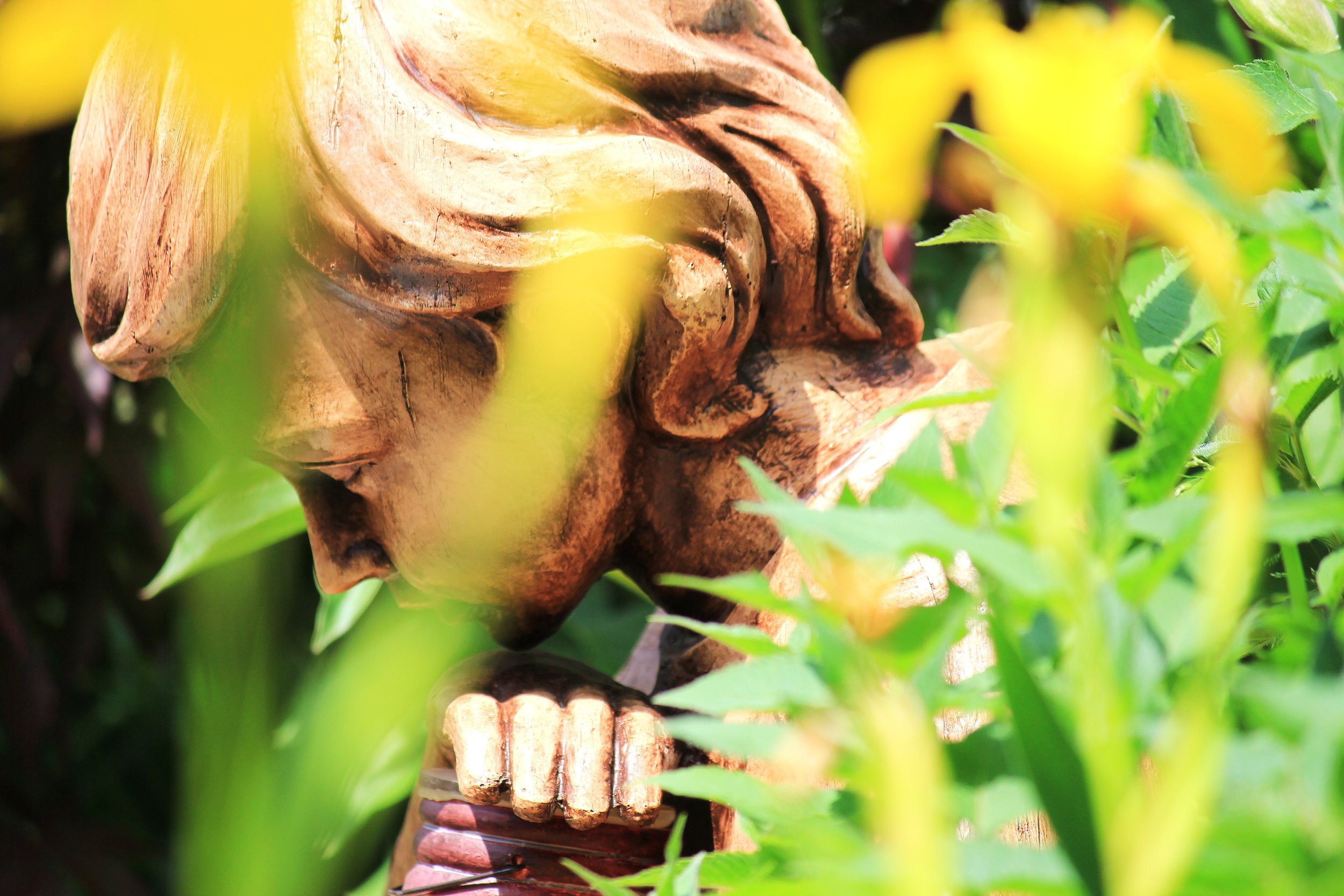 Contemplation.JPG