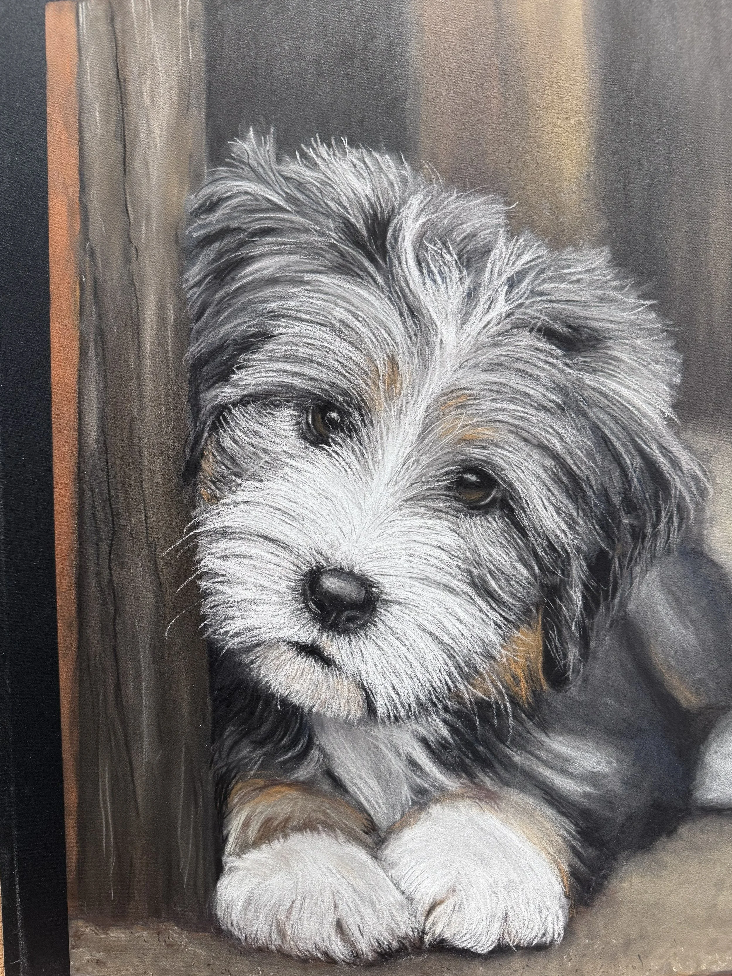 Sheepdog Pup.jpg