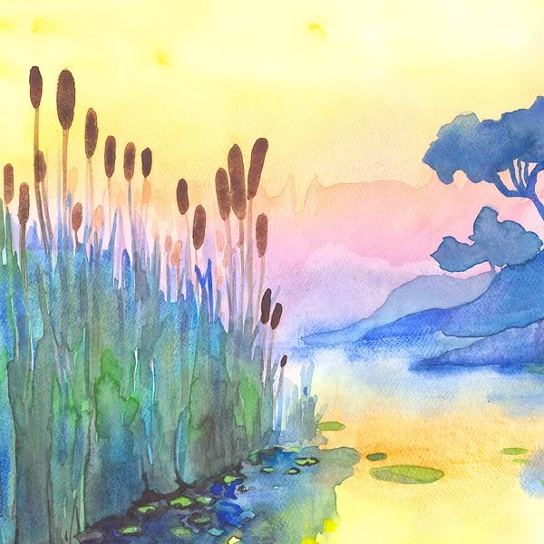 Sunset-on-Cattails_3.jpg